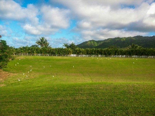 Kapuna Road, Unit 3 Kilauea, HI 96754 - Photo 4 of 24 Gallery Image 4