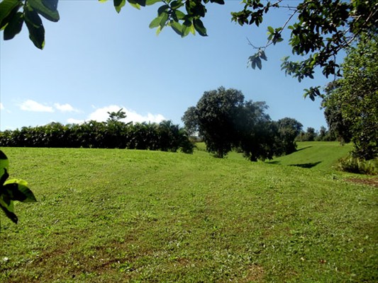 Kapuna Road, Unit 3 Kilauea, HI 96754 - Photo 6 of 24 Gallery Image 6