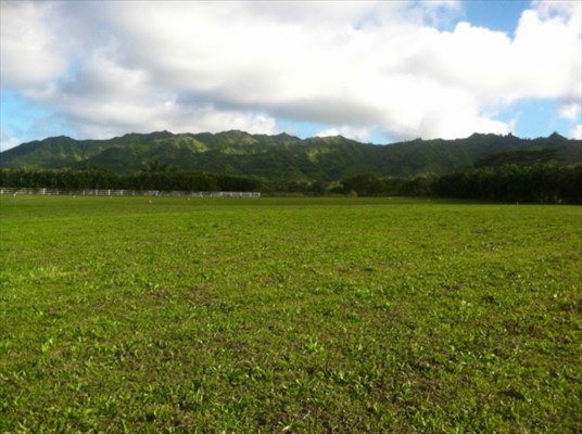 Kapuna Road, Unit 3 Kilauea, HI 96754 - Photo 8 of 24 Gallery Image 8