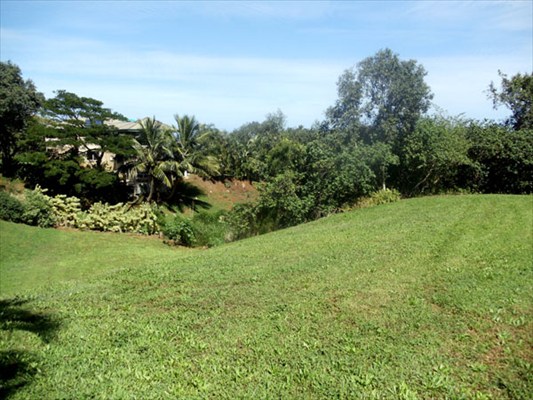 Kapuna Road, Unit 3 Kilauea, HI 96754 - Photo 9 of 24 Gallery Image 9