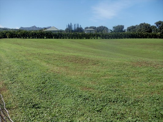 Kapuna Road, Unit 3 Kilauea, HI 96754 - Photo 10 of 24 Gallery Image 10
