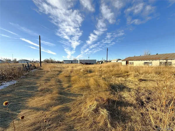 a view of a yard