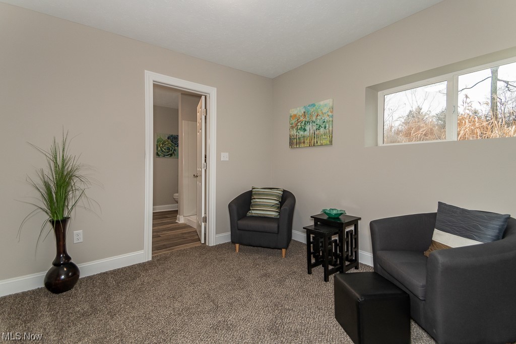 9865 Chillicothe Road Kirtland, OH 44094 - Photo 18 of 36 Living area with dark carpet
