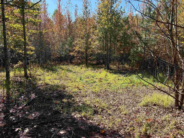 a view of backyard of a house