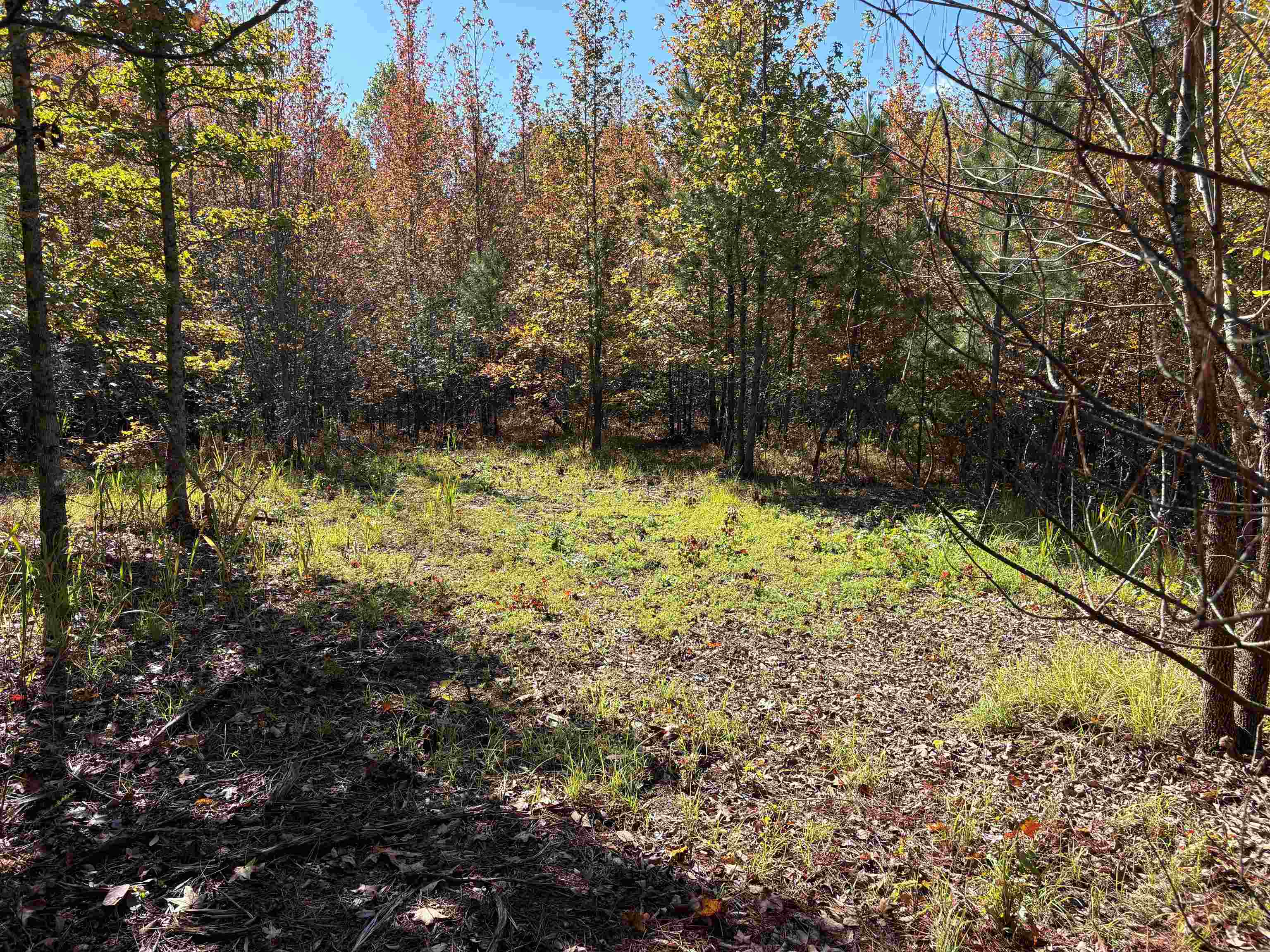 0 Bethuel Road, Unit LOT 7 Millington, TN 38053 - Photo 11 of 16 Gallery Image 11