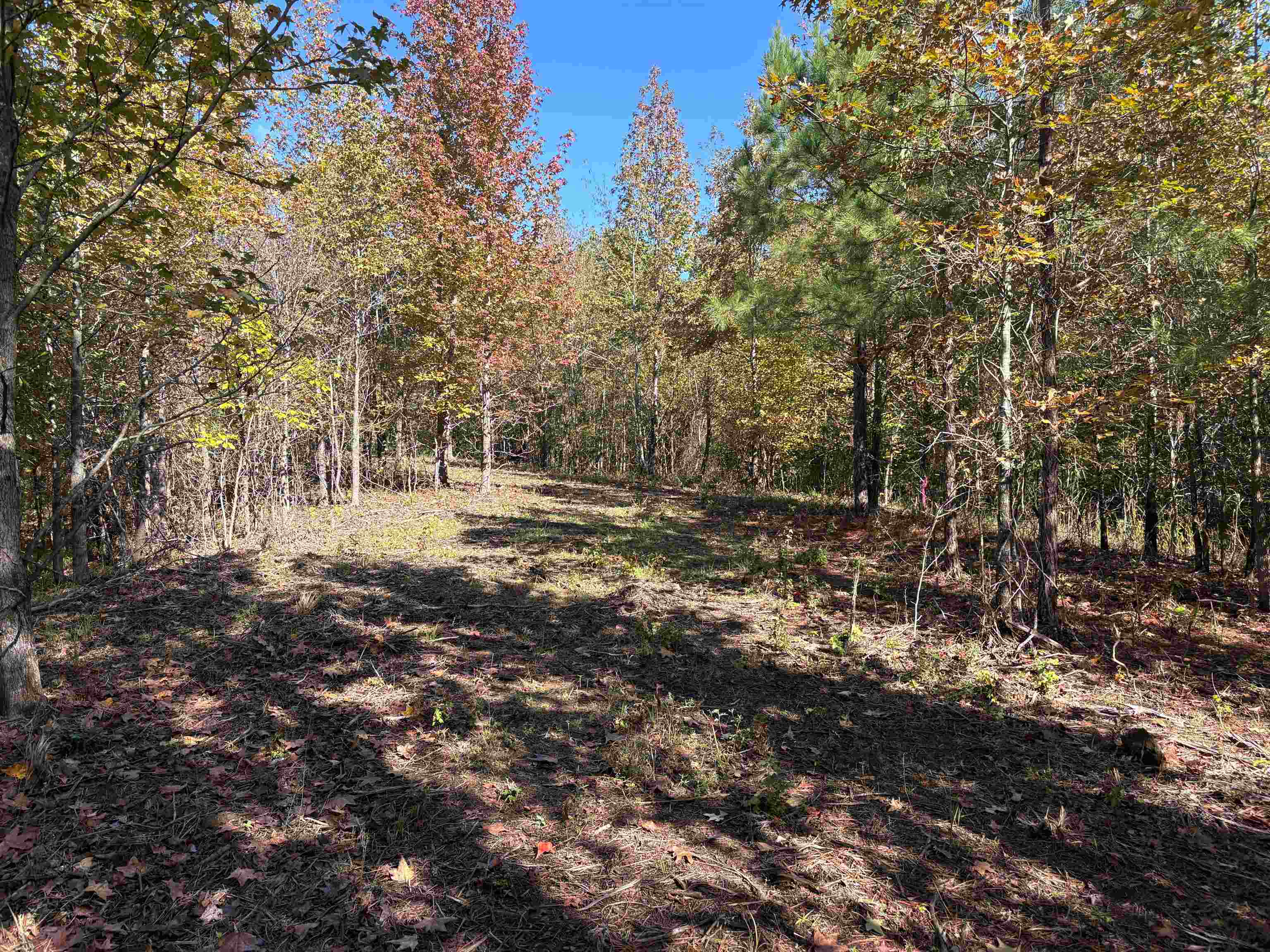 0 Bethuel Road, Unit LOT 7 Millington, TN 38053 - Photo 12 of 16 Gallery Image 12