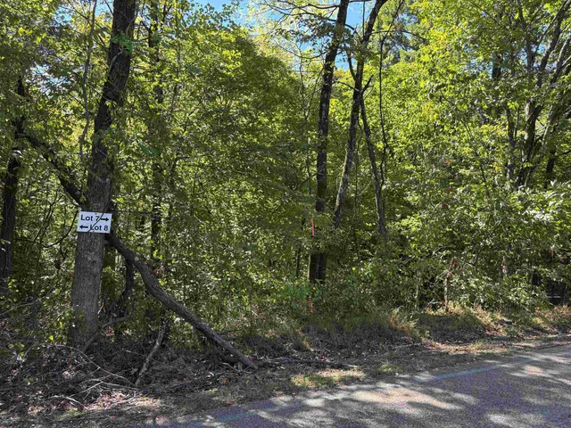 a view of a forest with lots of trees