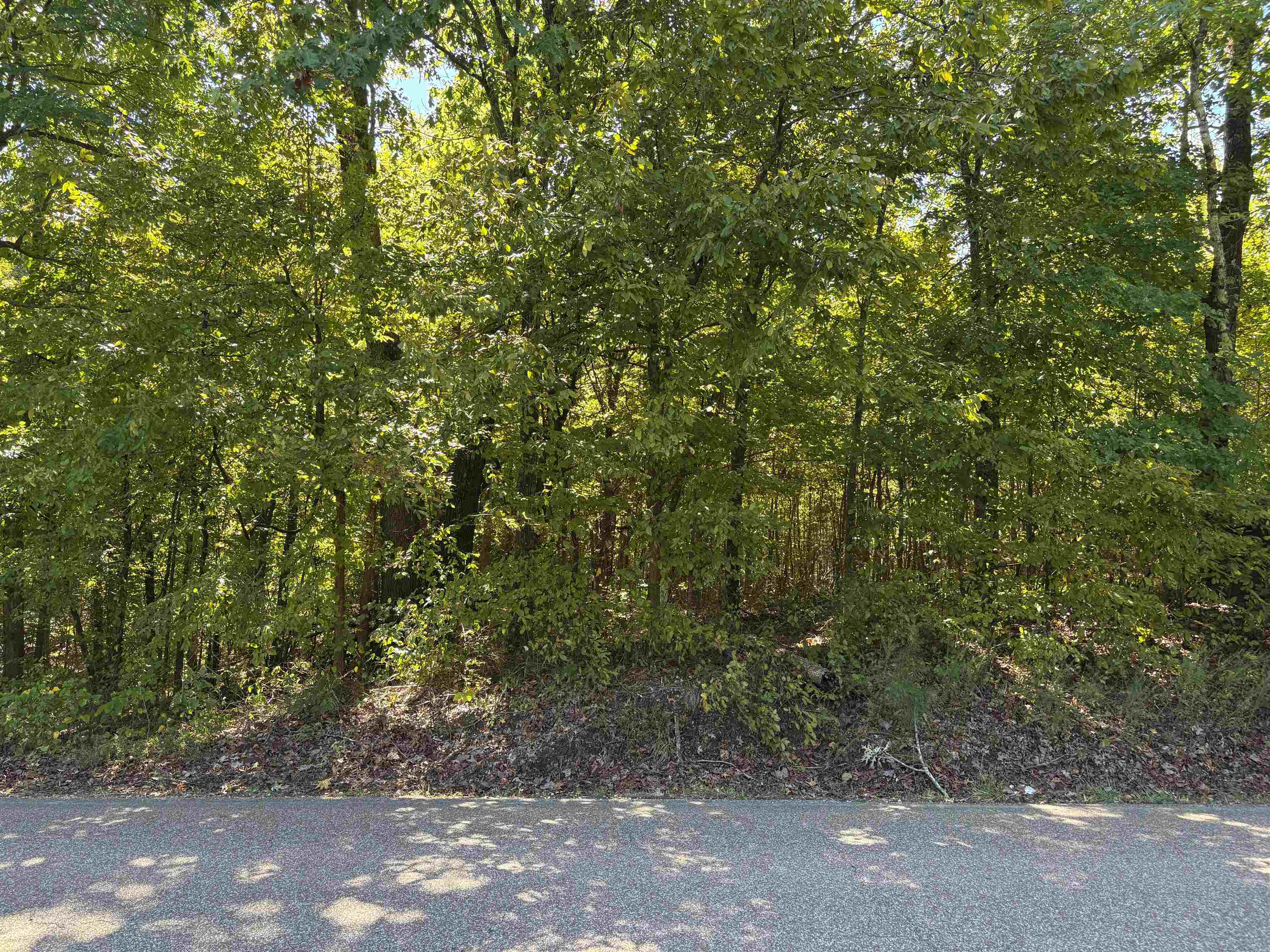 0 Bethuel Road, Unit LOT 7 Millington, TN 38053 - Photo 7 of 16 View of tree filled area