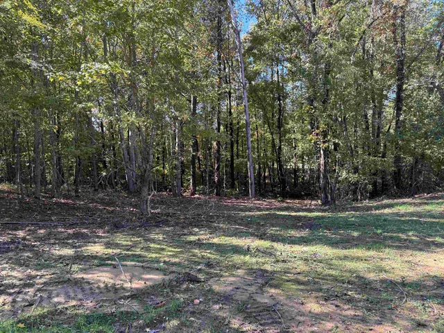 a view of a yard with large trees
