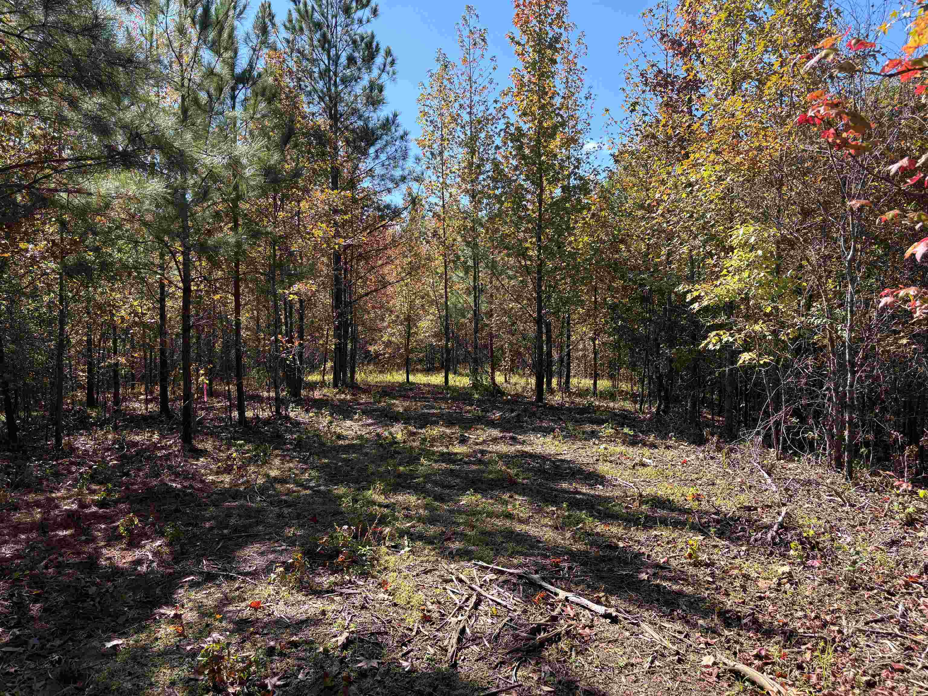 0 Bethuel Road, Unit LOT 7 Millington, TN 38053 - Photo 10 of 16 Gallery Image 10