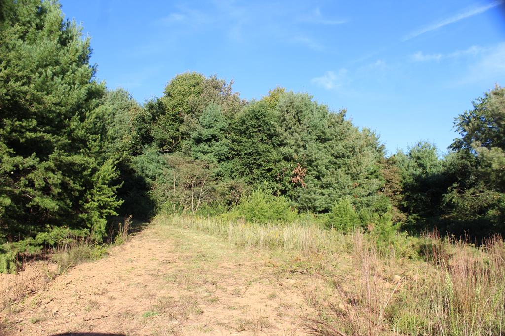 77 Joy Ranch Road, Unit 97A77 Woodlawn, VA 24381 - Photo 4 of 75 Gallery Image 4