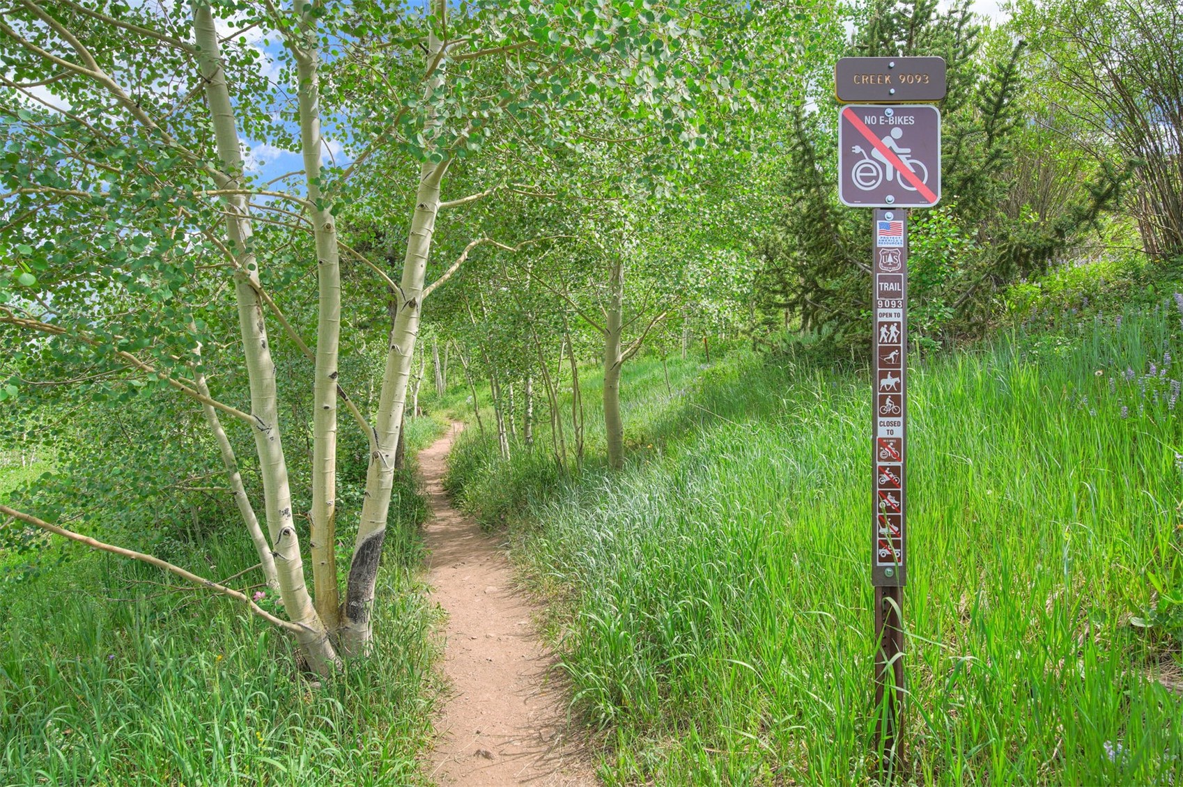 7031 Ryan Gulch Road, Unit 301 Silverthorne, CO 80498 - Photo 26 of 37 a green field with lots of trees
