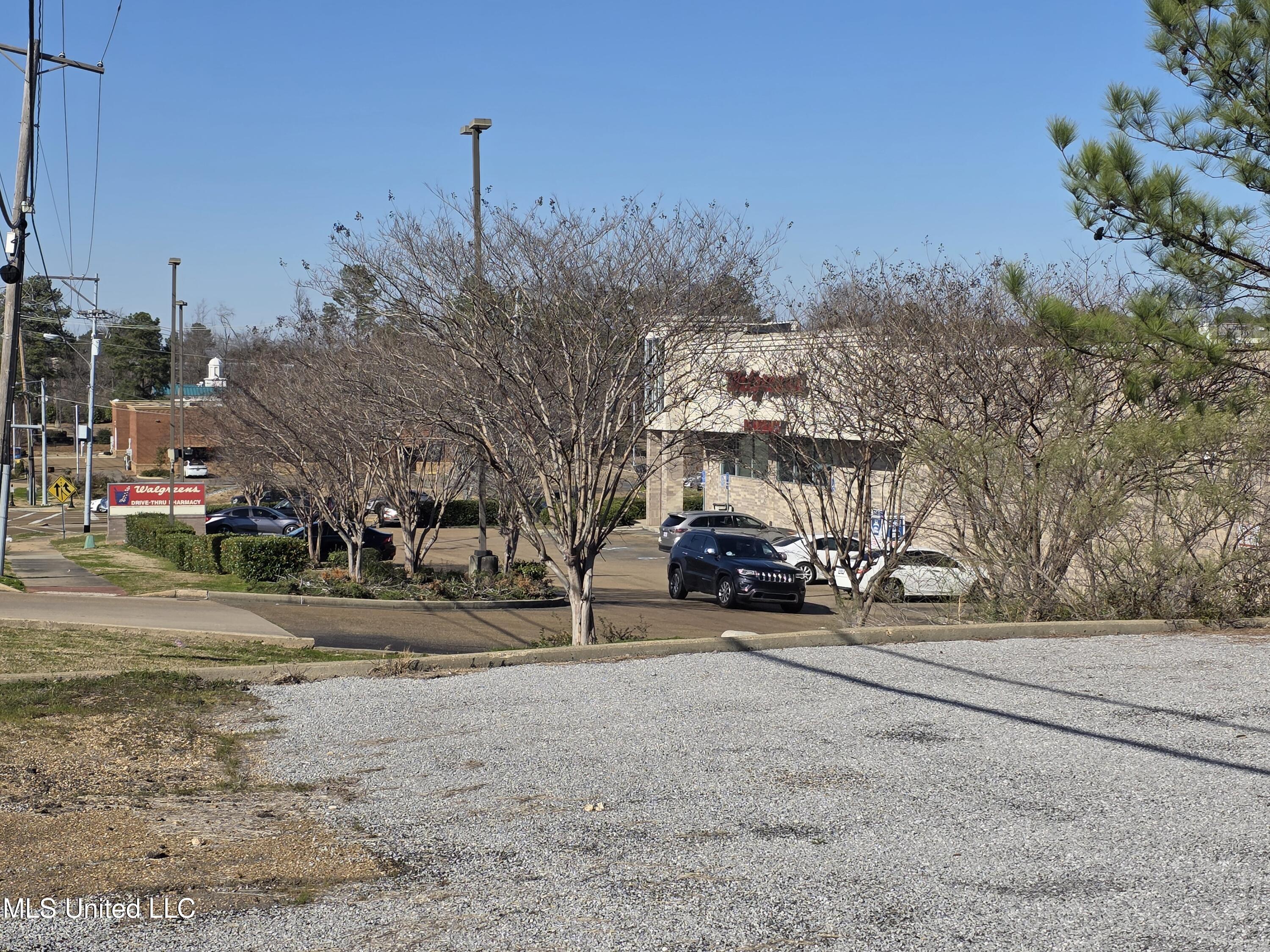 6956 Old Canton Road Ridgeland, MS 39157 - Photo 4 of 6 20250228_150311