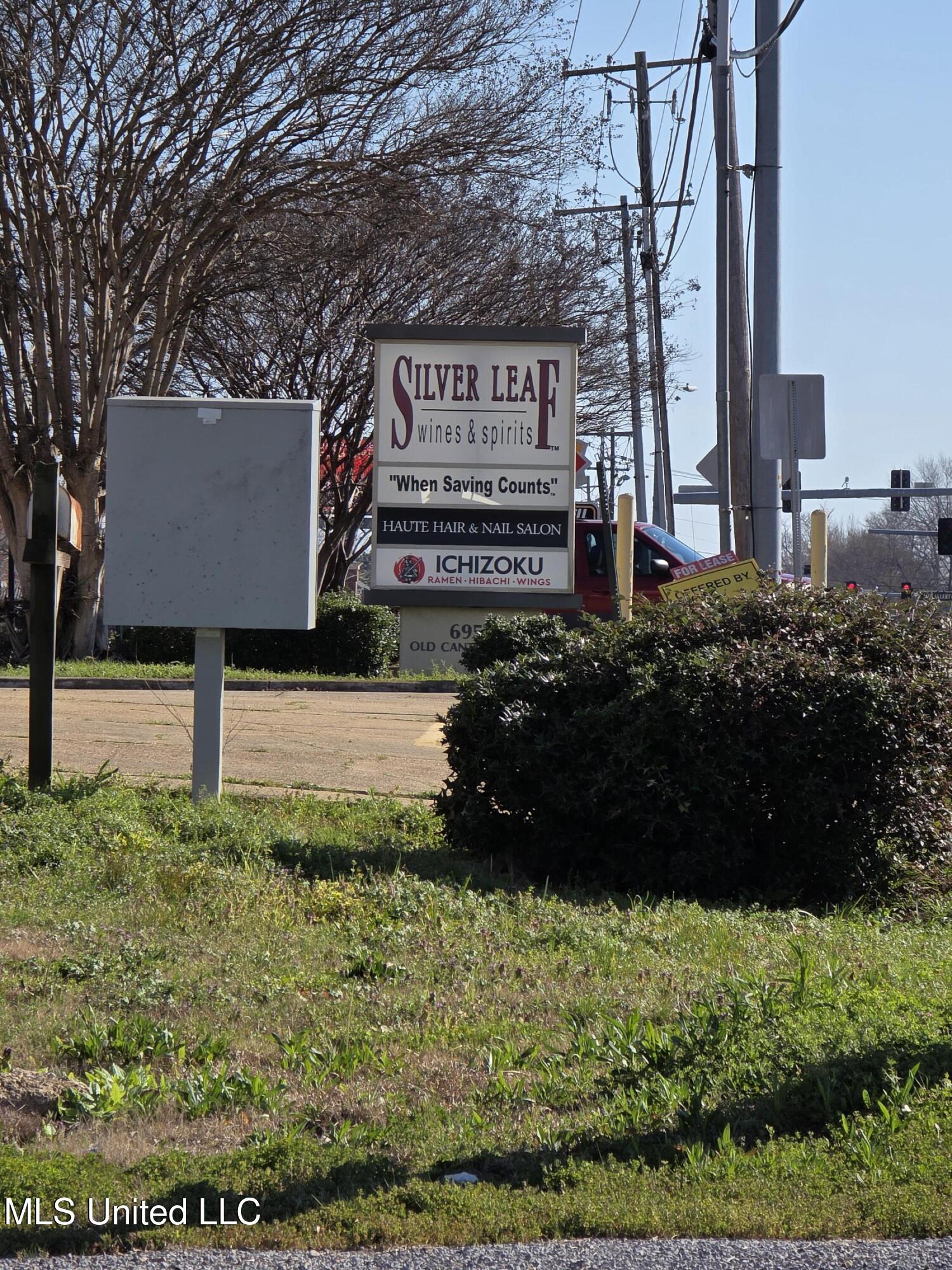 6956 Old Canton Road Ridgeland, MS 39157 - Photo 5 of 6 20250228_150325