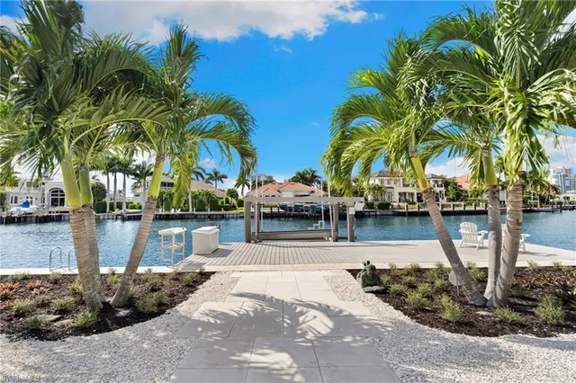 a view of a yard with palm trees