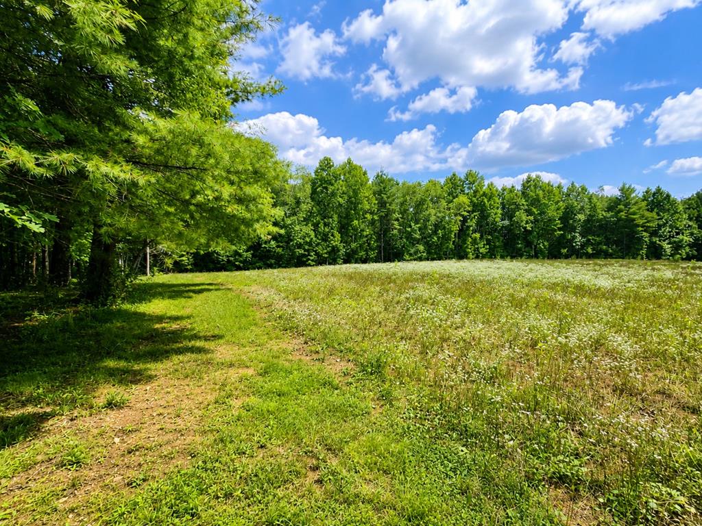 Tbd Link Road Galax, VA 24333 - Photo 1 of 8 Gallery Image 1