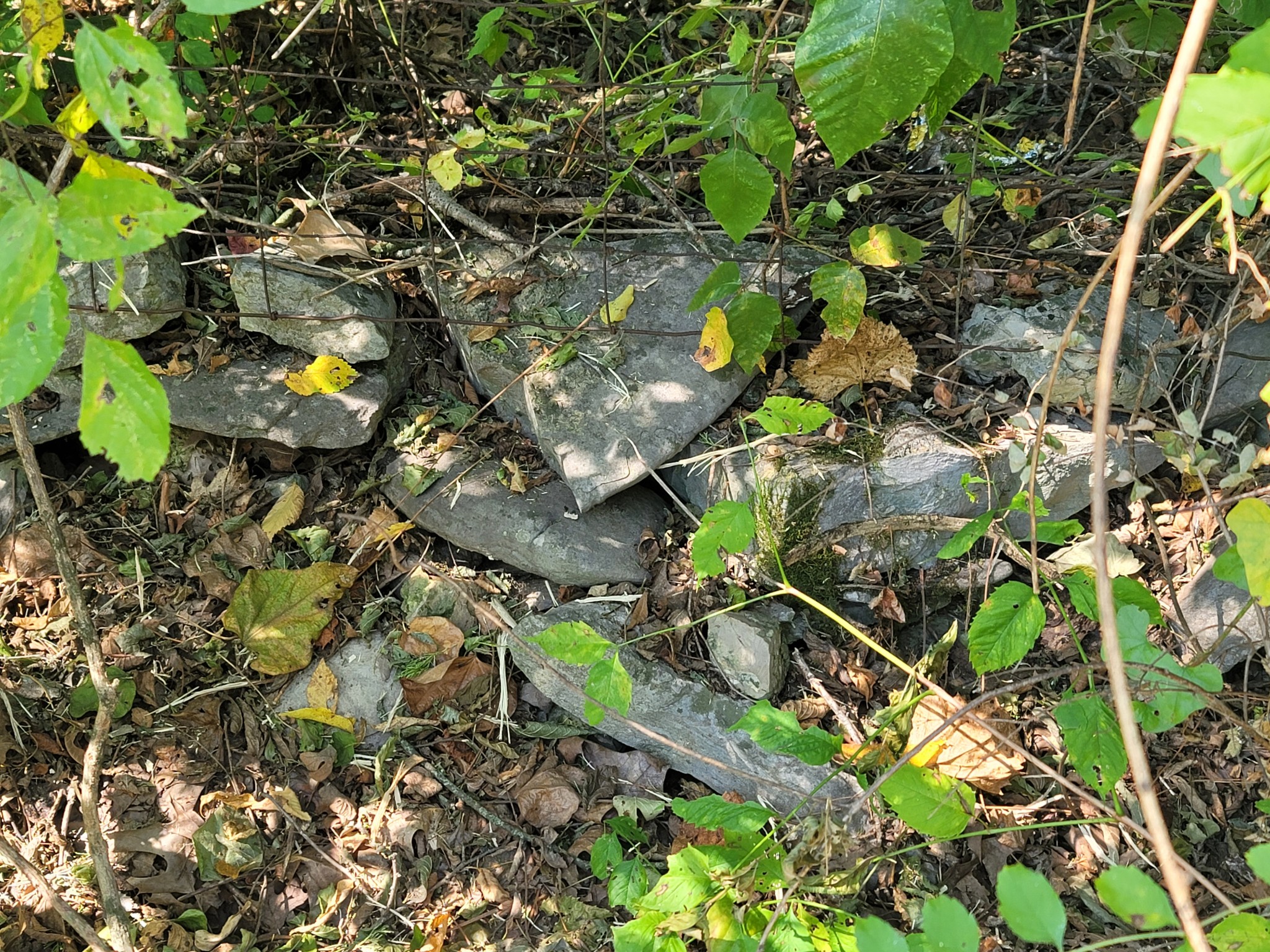 0 Atkinson Road Lebanon, TN 37090 - Photo 11 of 51