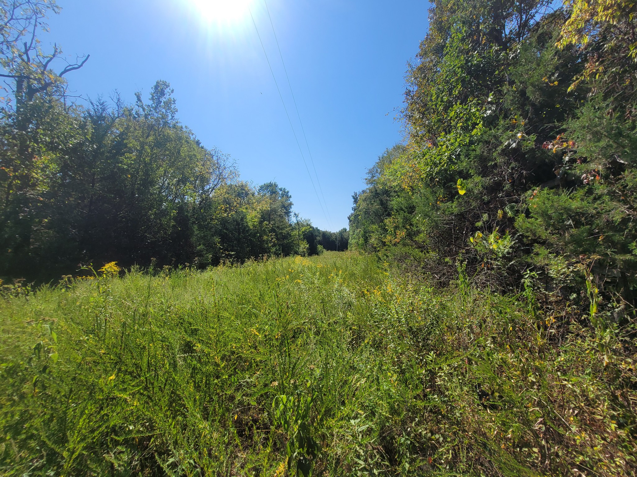 0 Atkinson Road Lebanon, TN 37090 - Photo 15 of 51