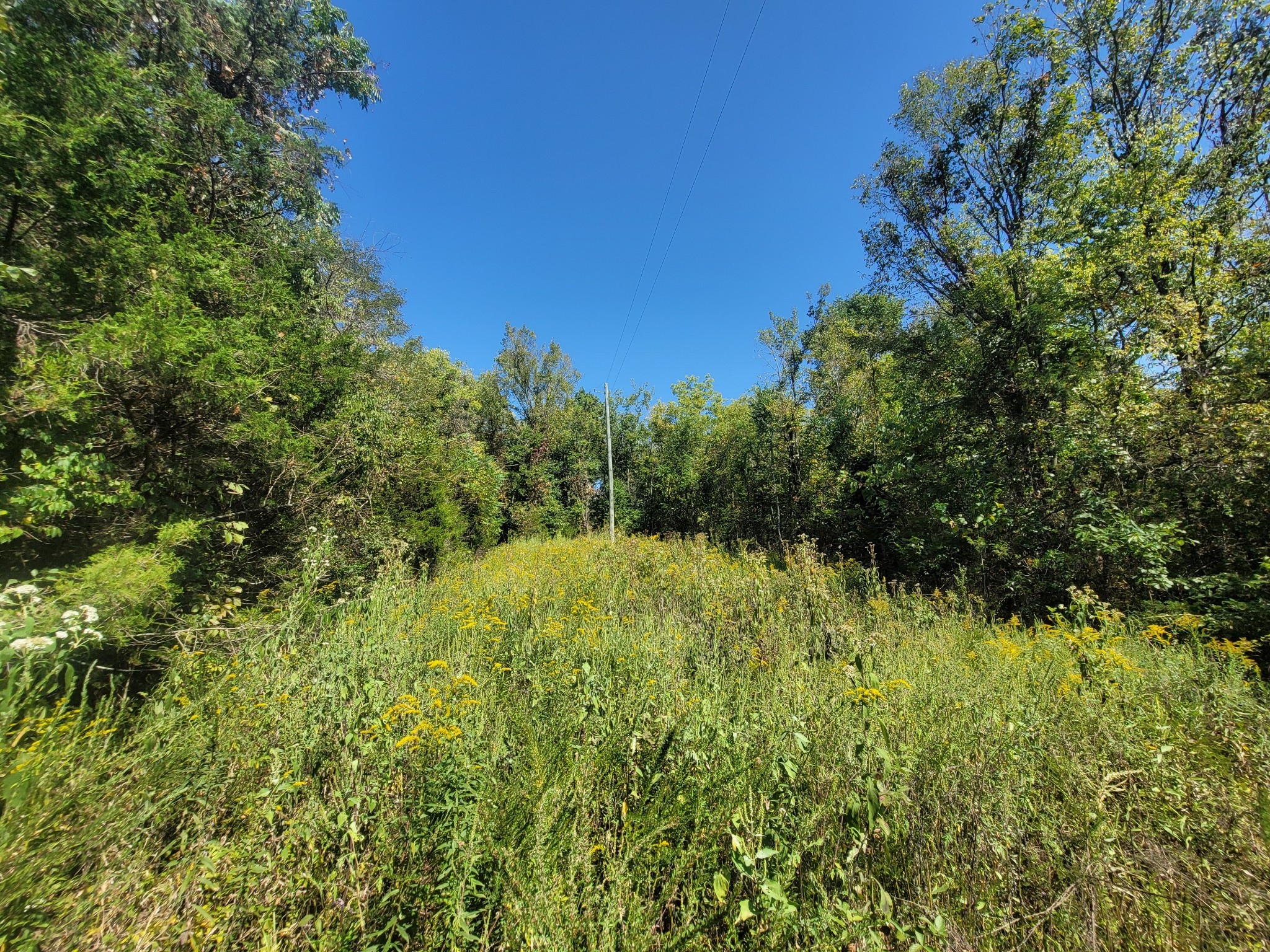 0 Atkinson Road Lebanon, TN 37090 - Photo 16 of 51