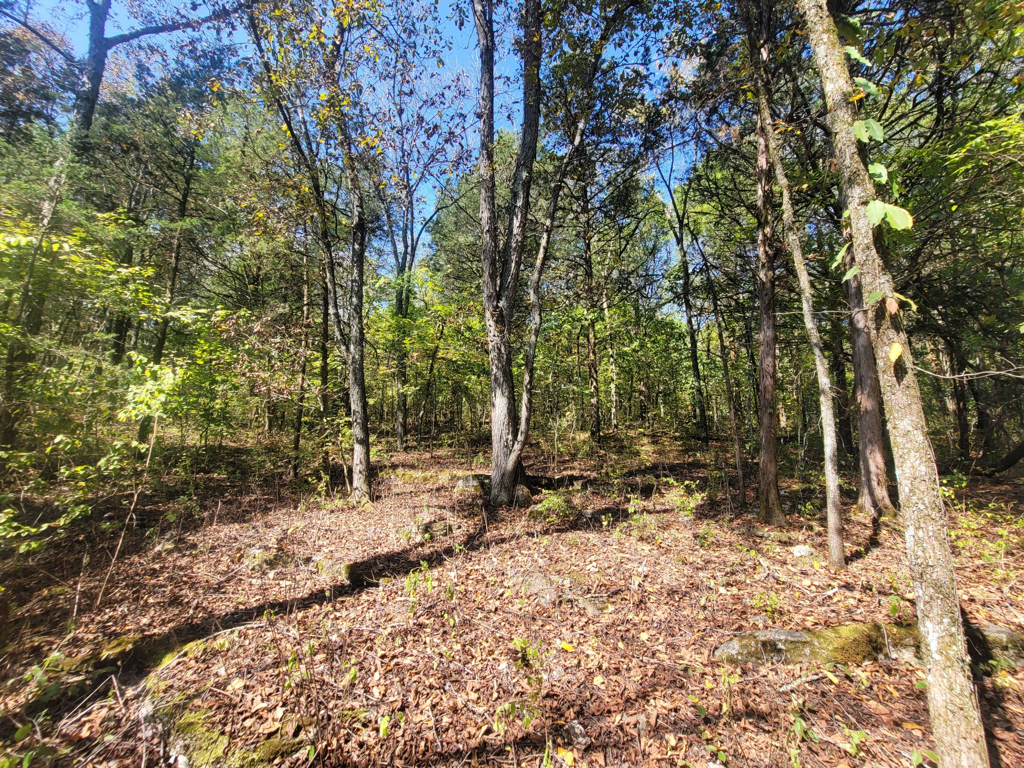 0 Atkinson Road Lebanon, TN 37090 - Photo 18 of 51