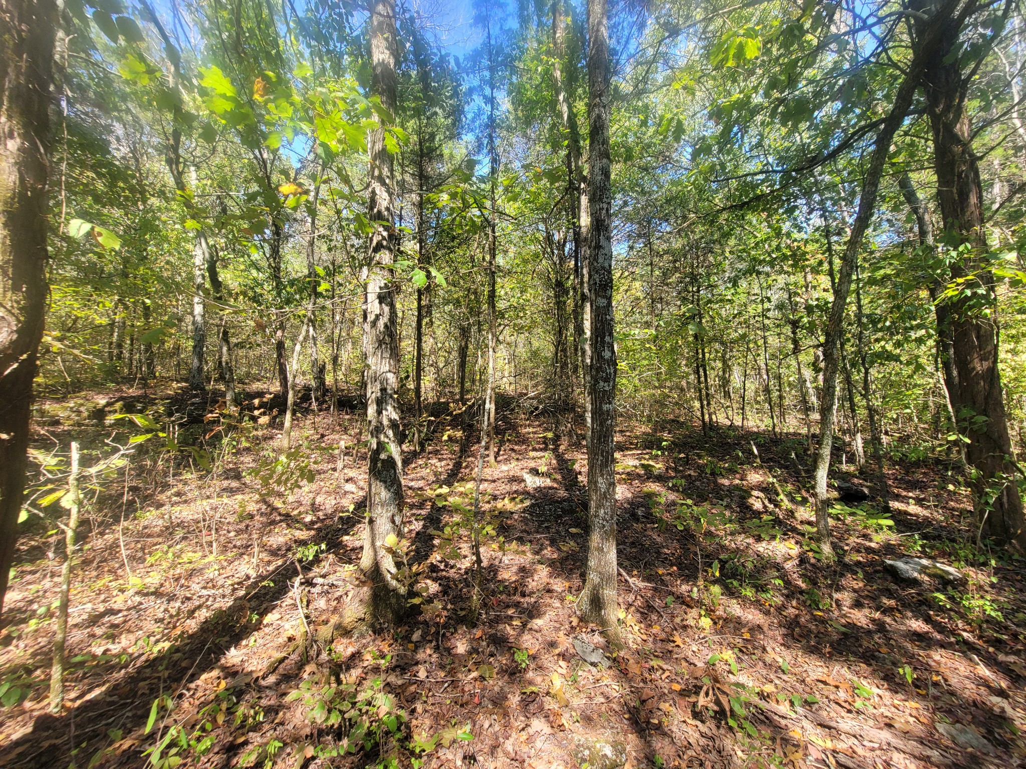 0 Atkinson Road Lebanon, TN 37090 - Photo 20 of 51