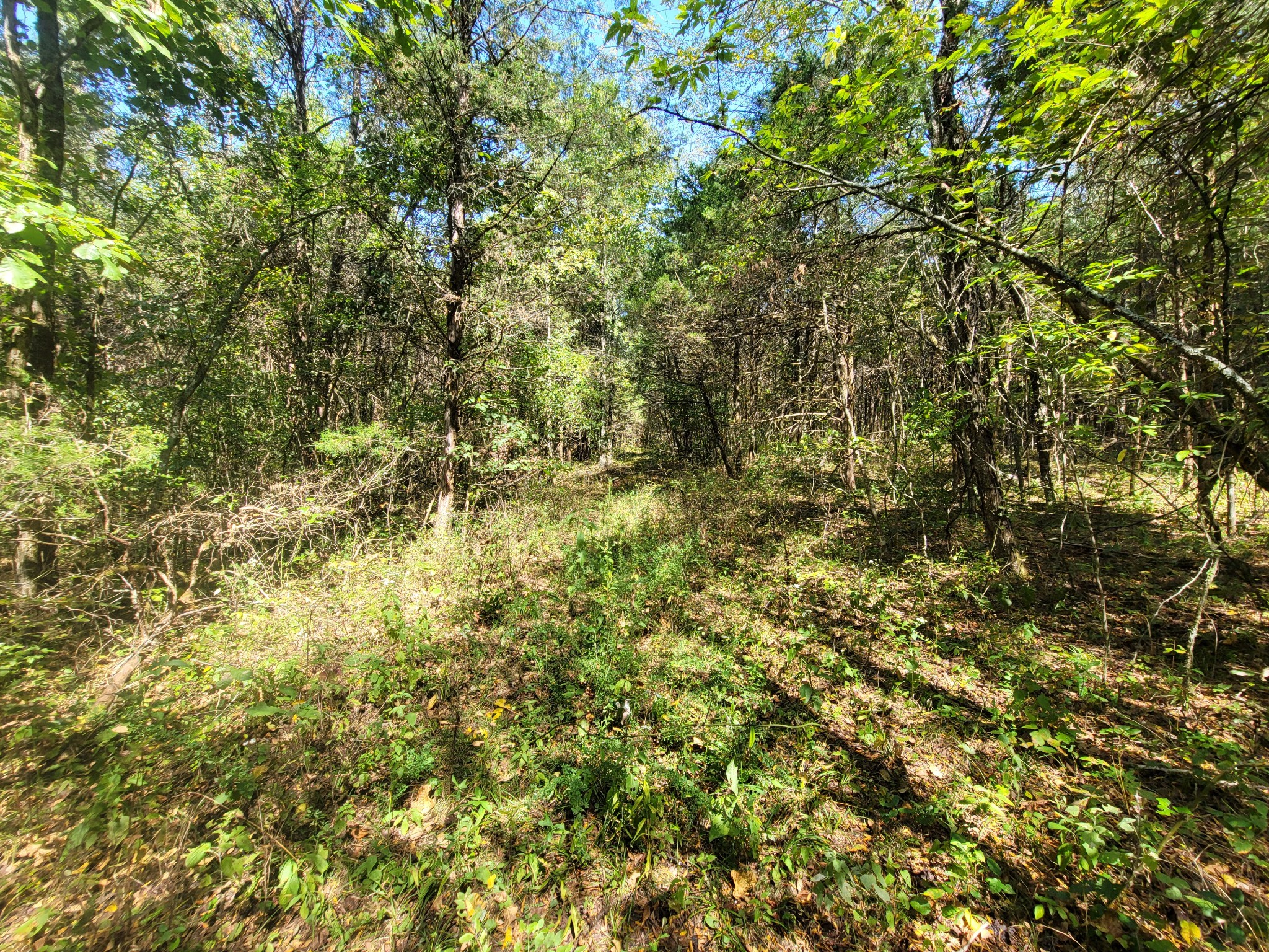 0 Atkinson Road Lebanon, TN 37090 - Photo 26 of 51