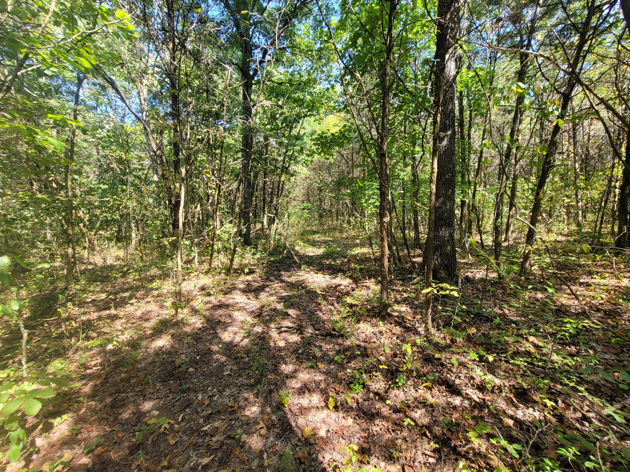 0 Atkinson Road Lebanon, TN 37090 - Photo 28 of 51