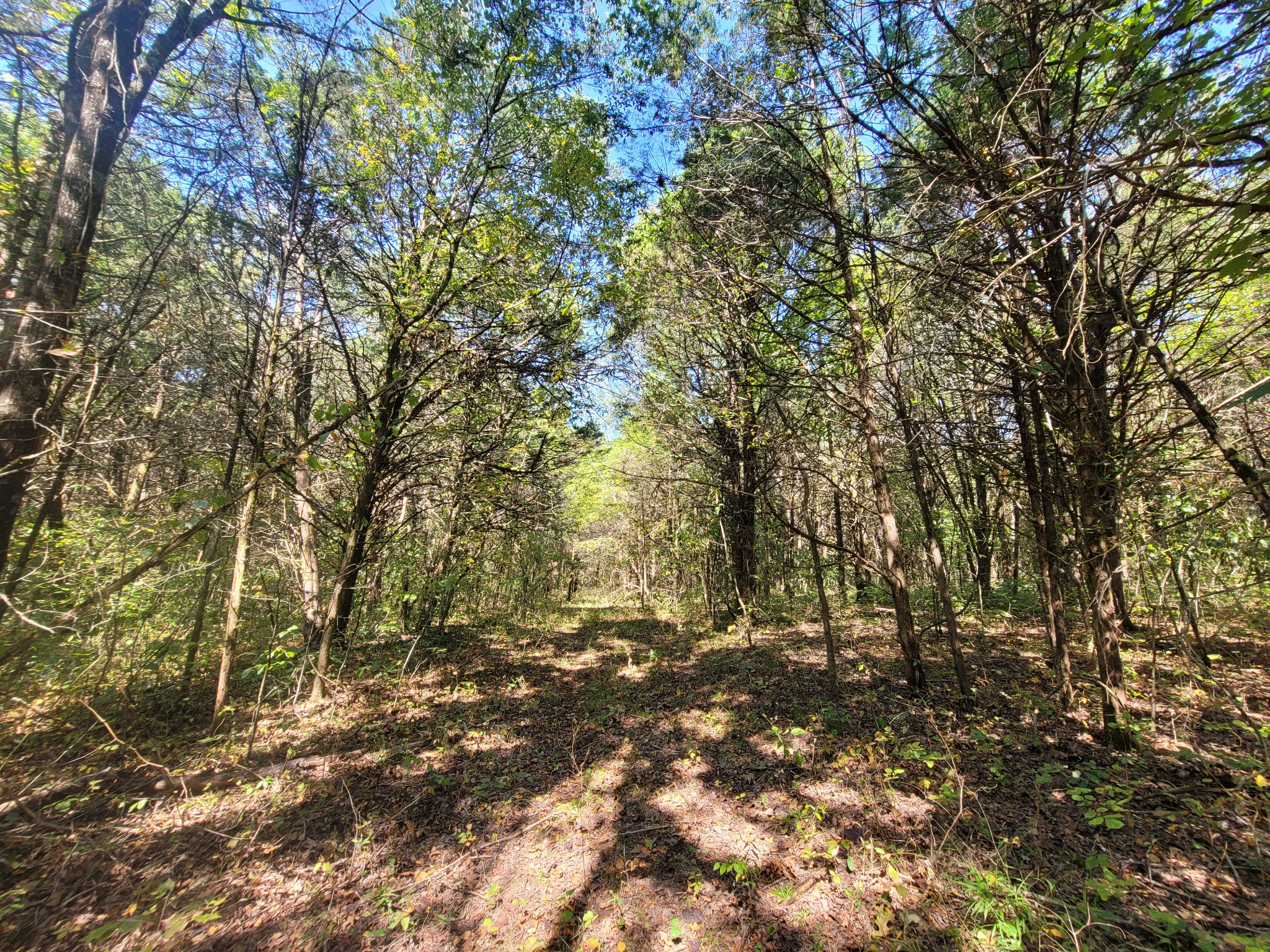 0 Atkinson Road Lebanon, TN 37090 - Photo 31 of 51