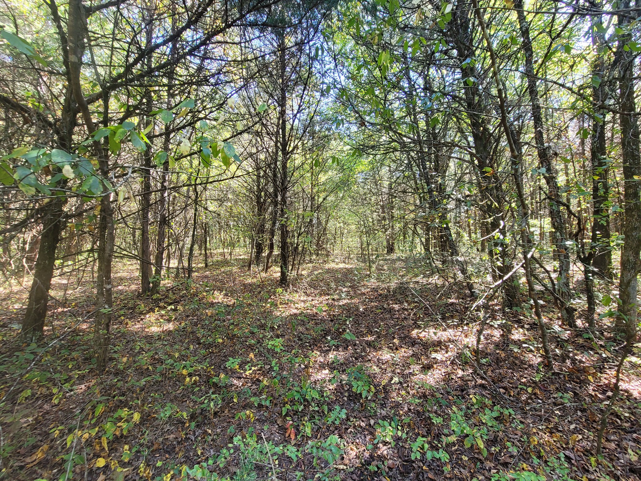 0 Atkinson Road Lebanon, TN 37090 - Photo 34 of 51