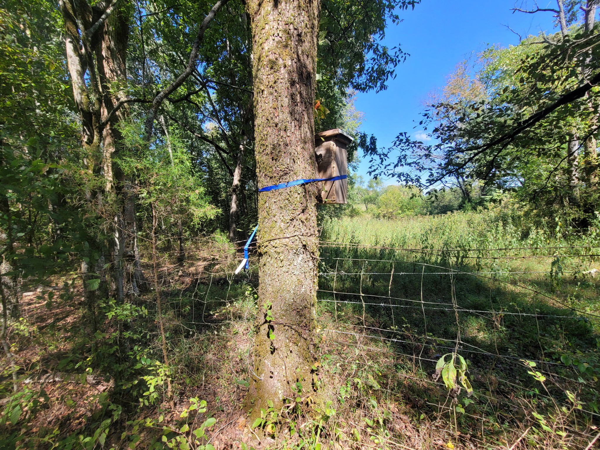 0 Atkinson Road Lebanon, TN 37090 - Photo 35 of 51