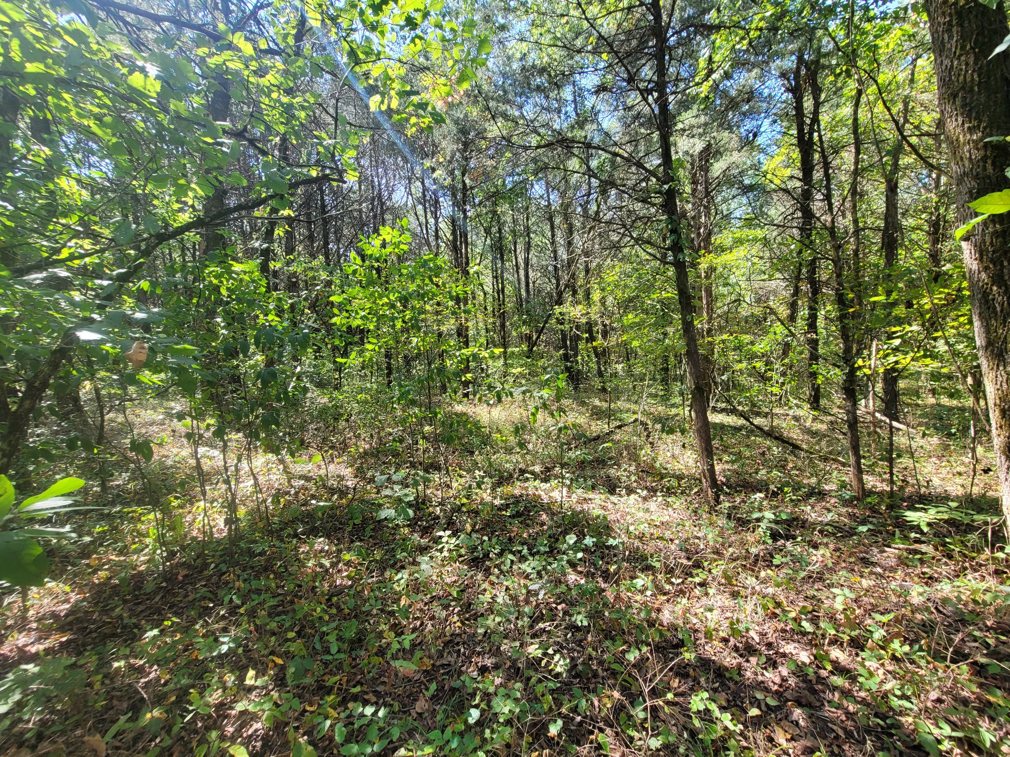 0 Atkinson Road Lebanon, TN 37090 - Photo 36 of 51