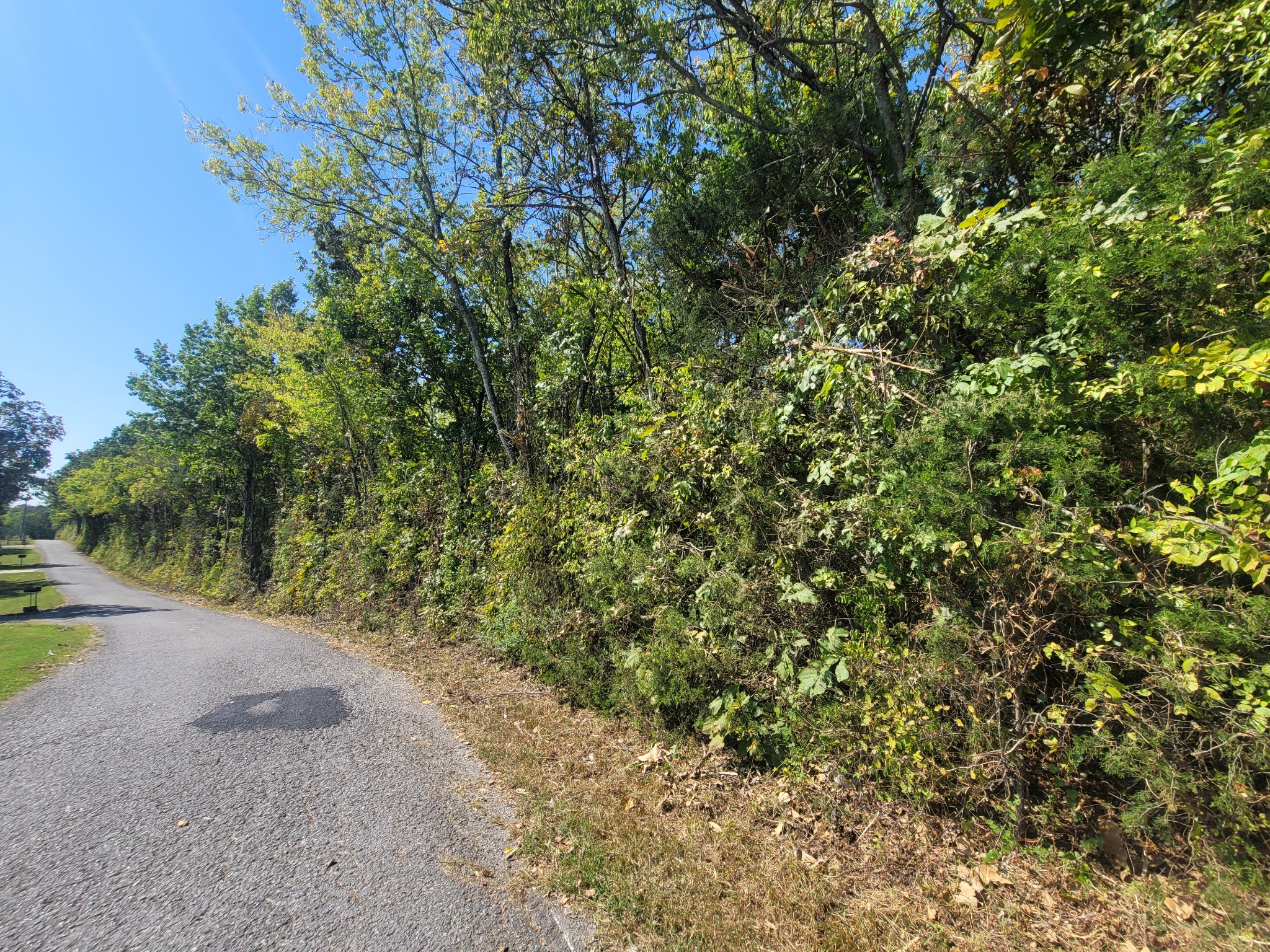 0 Atkinson Road Lebanon, TN 37090 - Photo 4 of 51