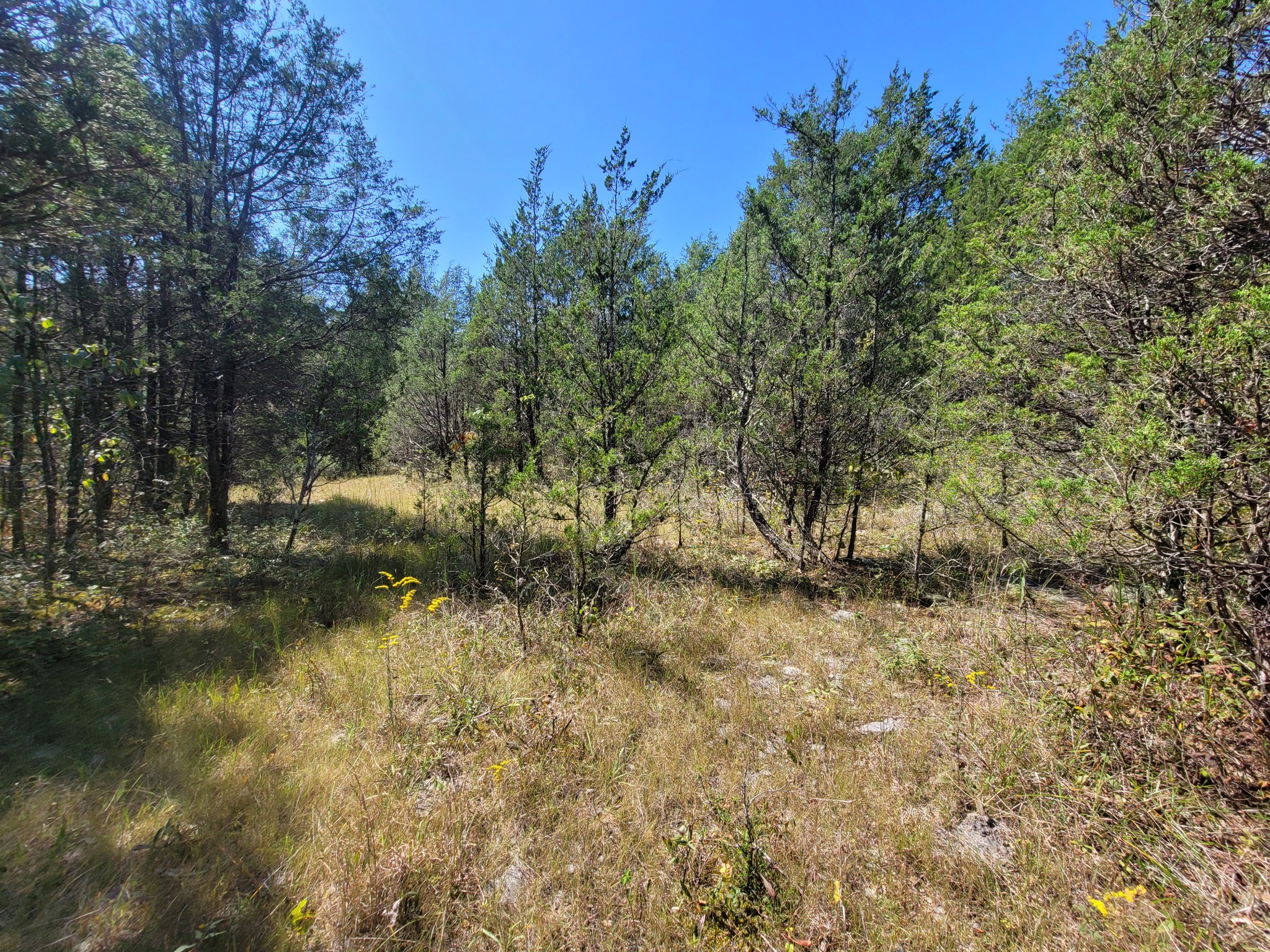 0 Atkinson Road Lebanon, TN 37090 - Photo 43 of 51