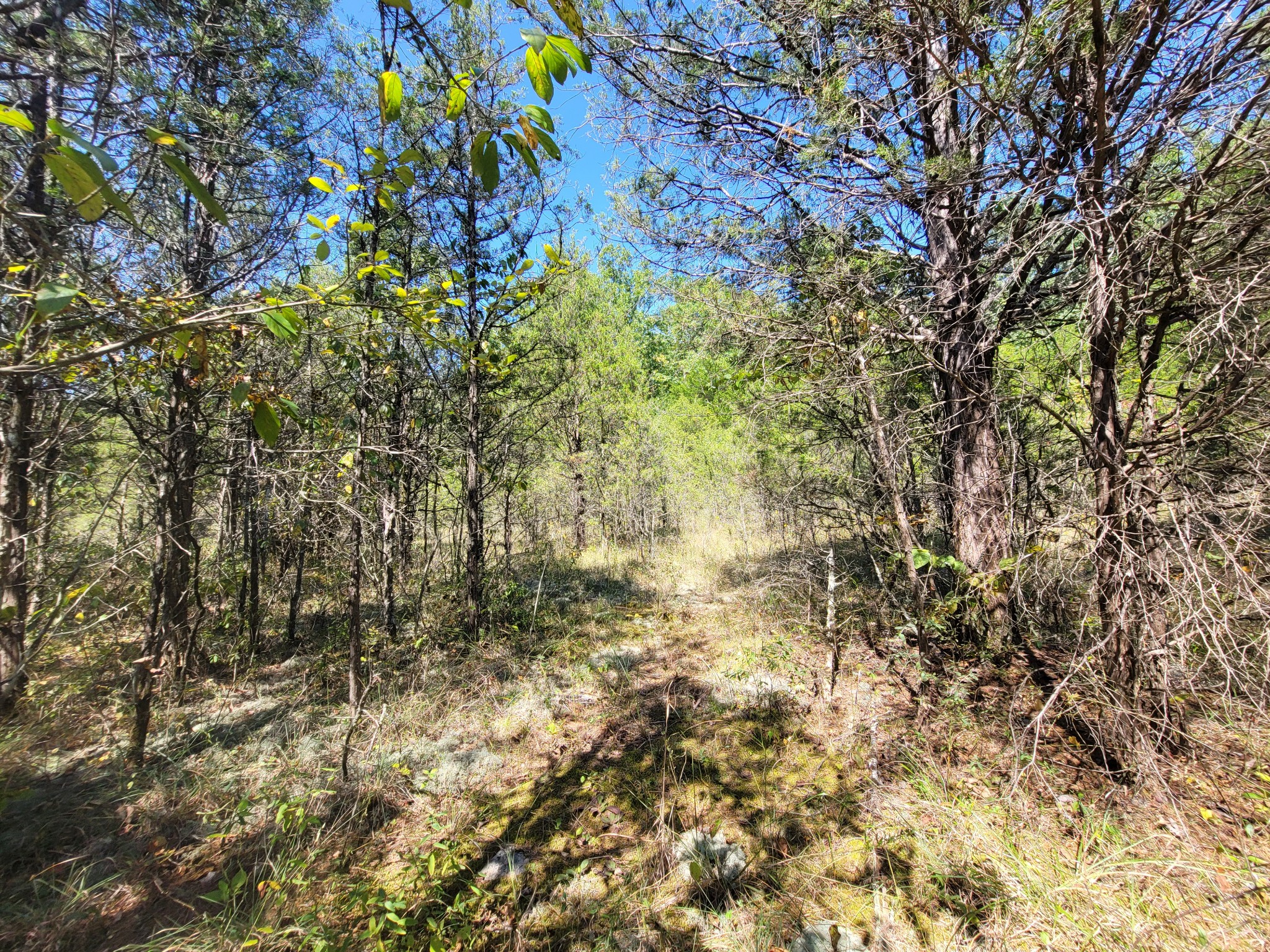 0 Atkinson Road Lebanon, TN 37090 - Photo 44 of 51