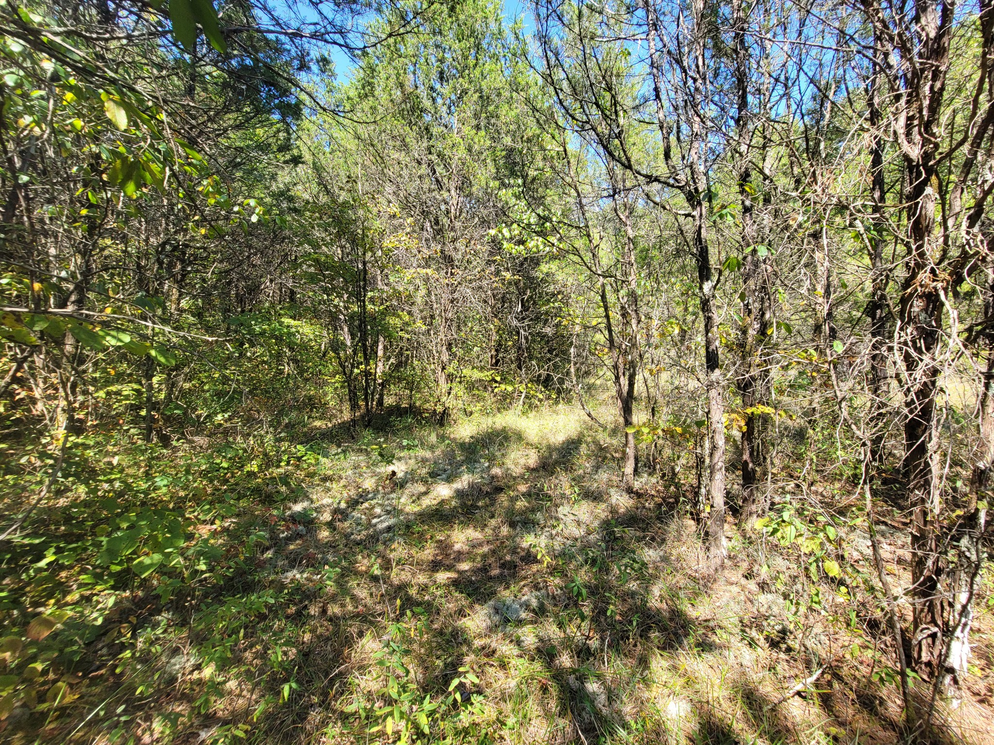 0 Atkinson Road Lebanon, TN 37090 - Photo 45 of 51