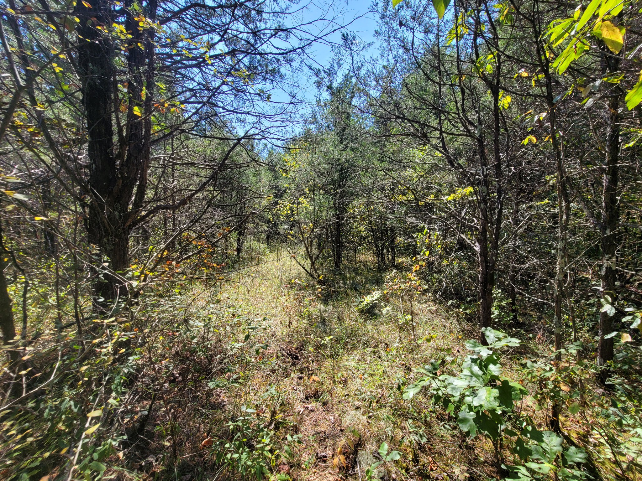 0 Atkinson Road Lebanon, TN 37090 - Photo 46 of 51