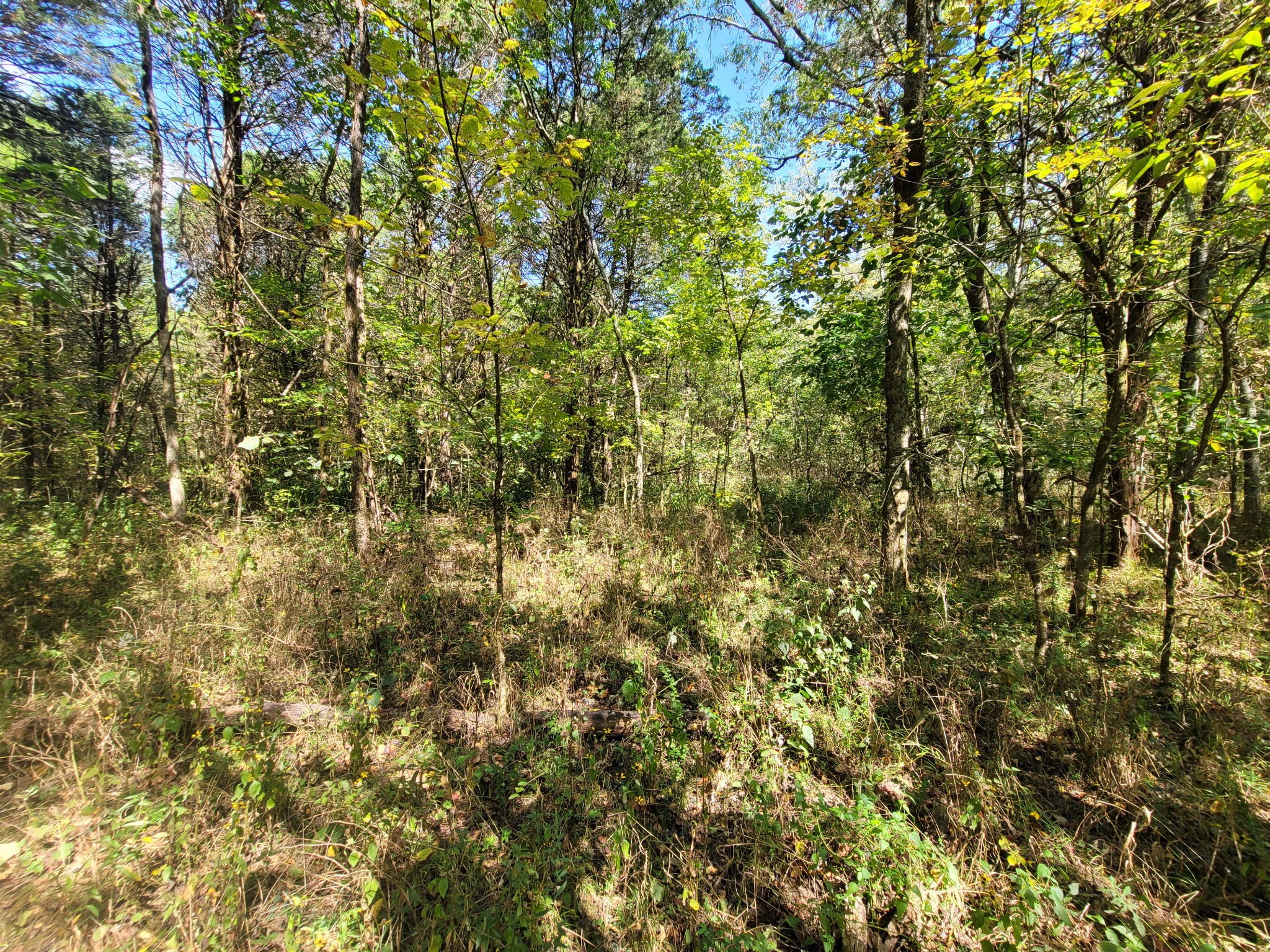 0 Atkinson Road Lebanon, TN 37090 - Photo 50 of 51