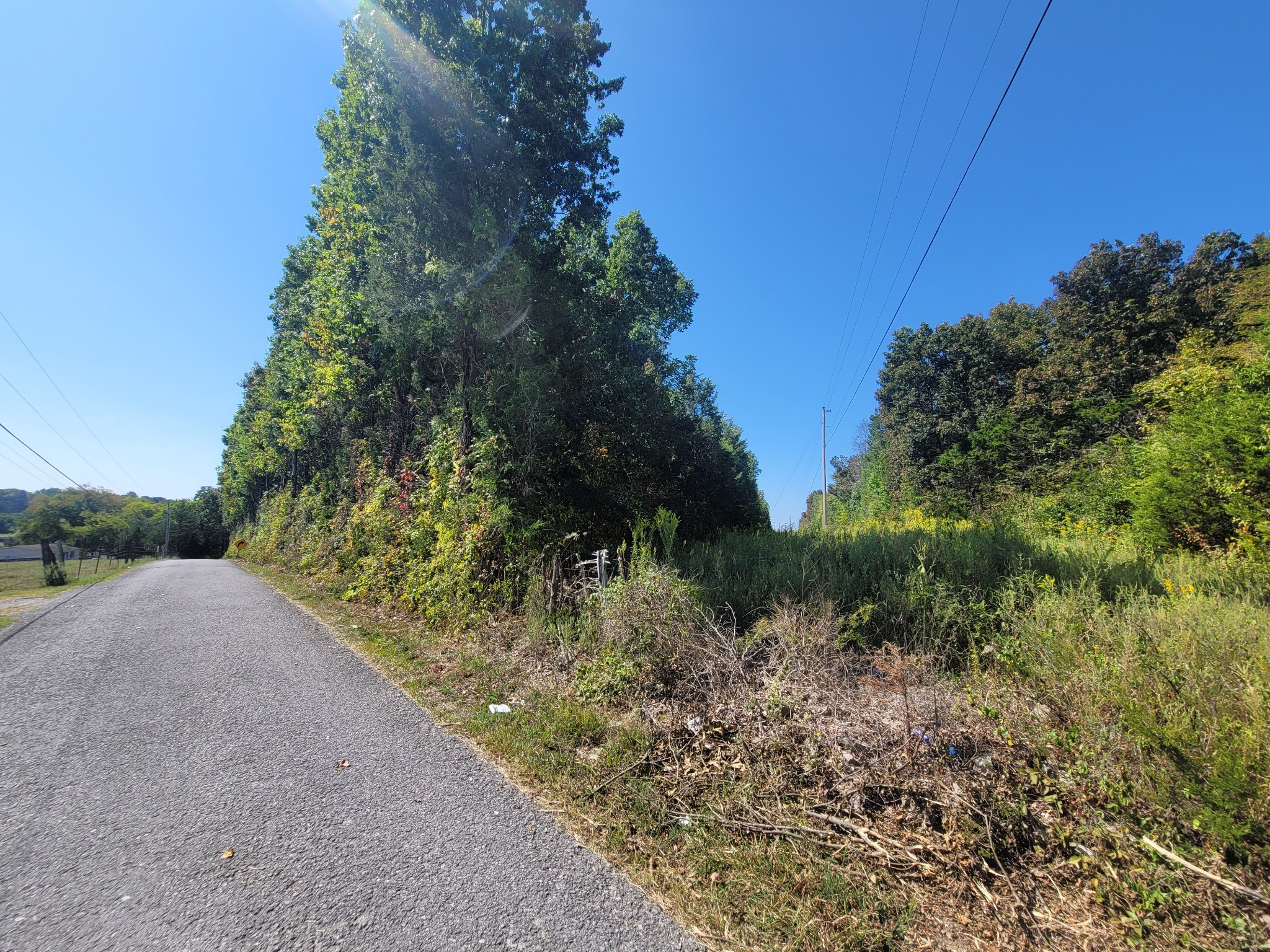 0 Atkinson Road Lebanon, TN 37090 - Photo 5 of 51