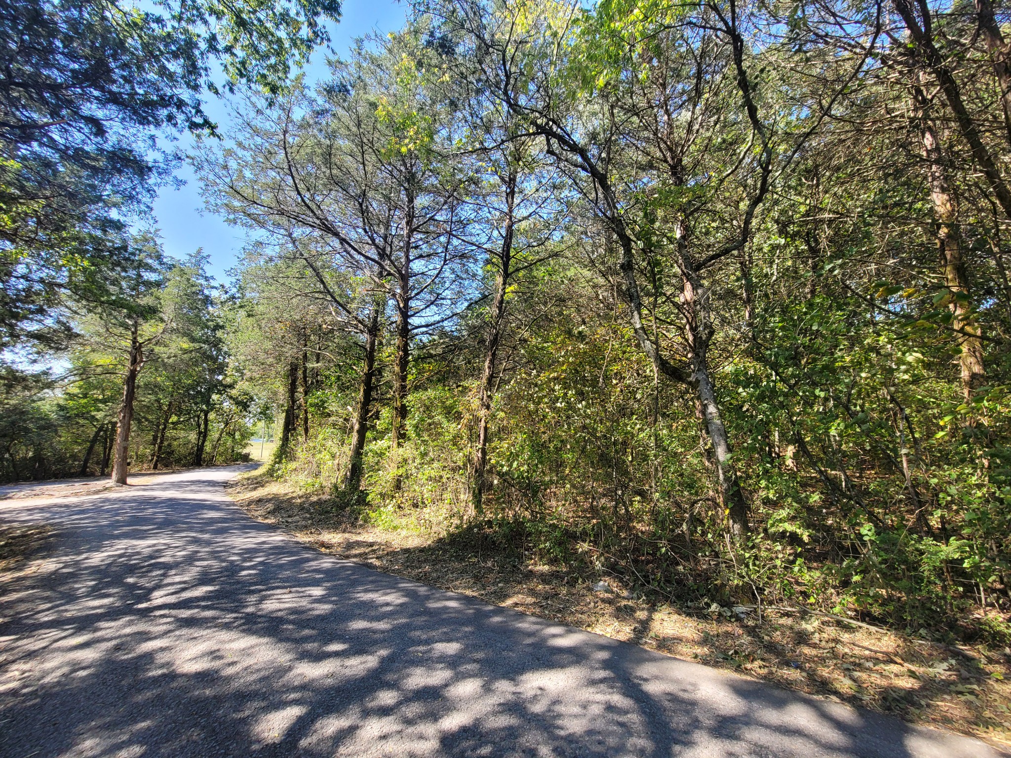 0 Atkinson Road Lebanon, TN 37090 - Photo 6 of 51