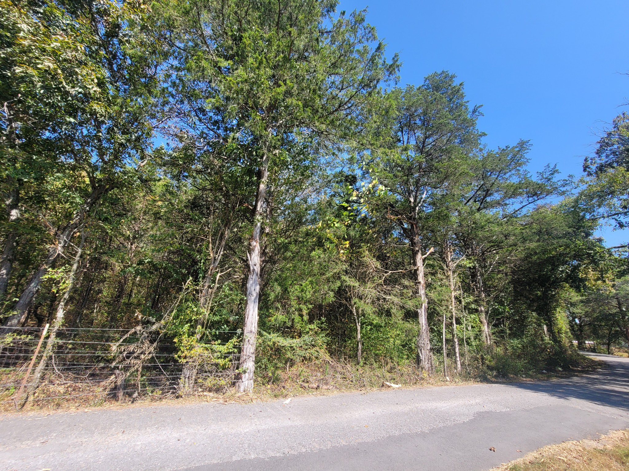 0 Atkinson Road Lebanon, TN 37090 - Photo 7 of 51