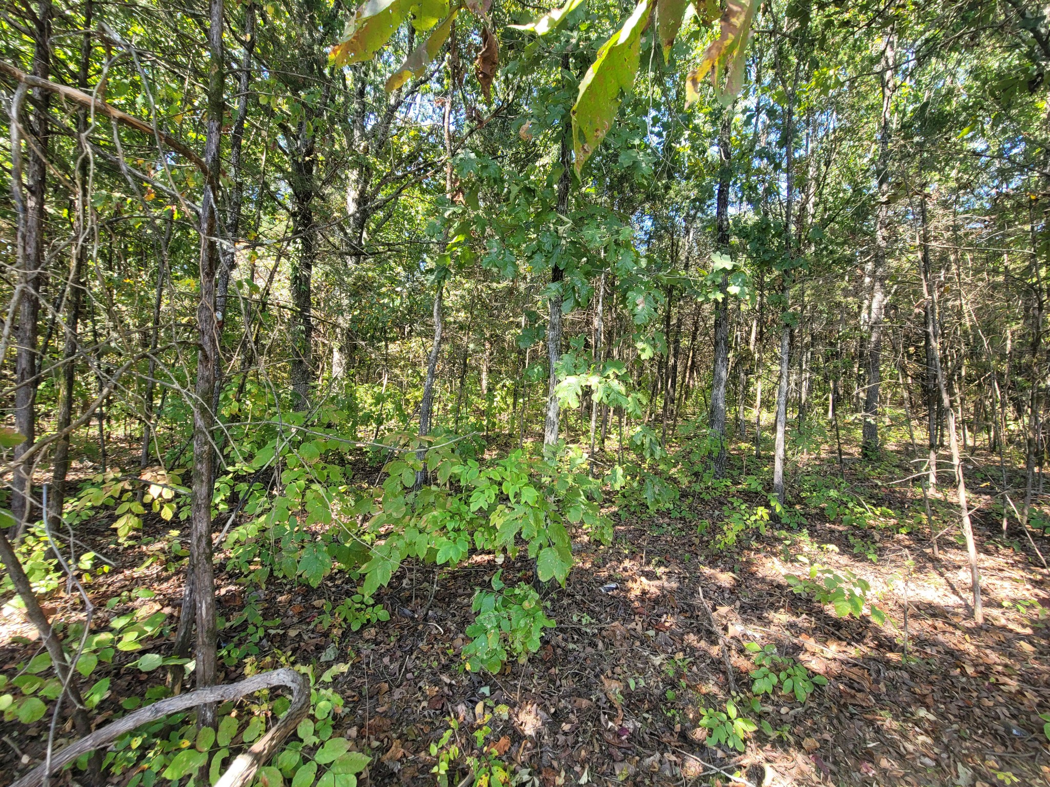 0 Atkinson Road Lebanon, TN 37090 - Photo 10 of 51