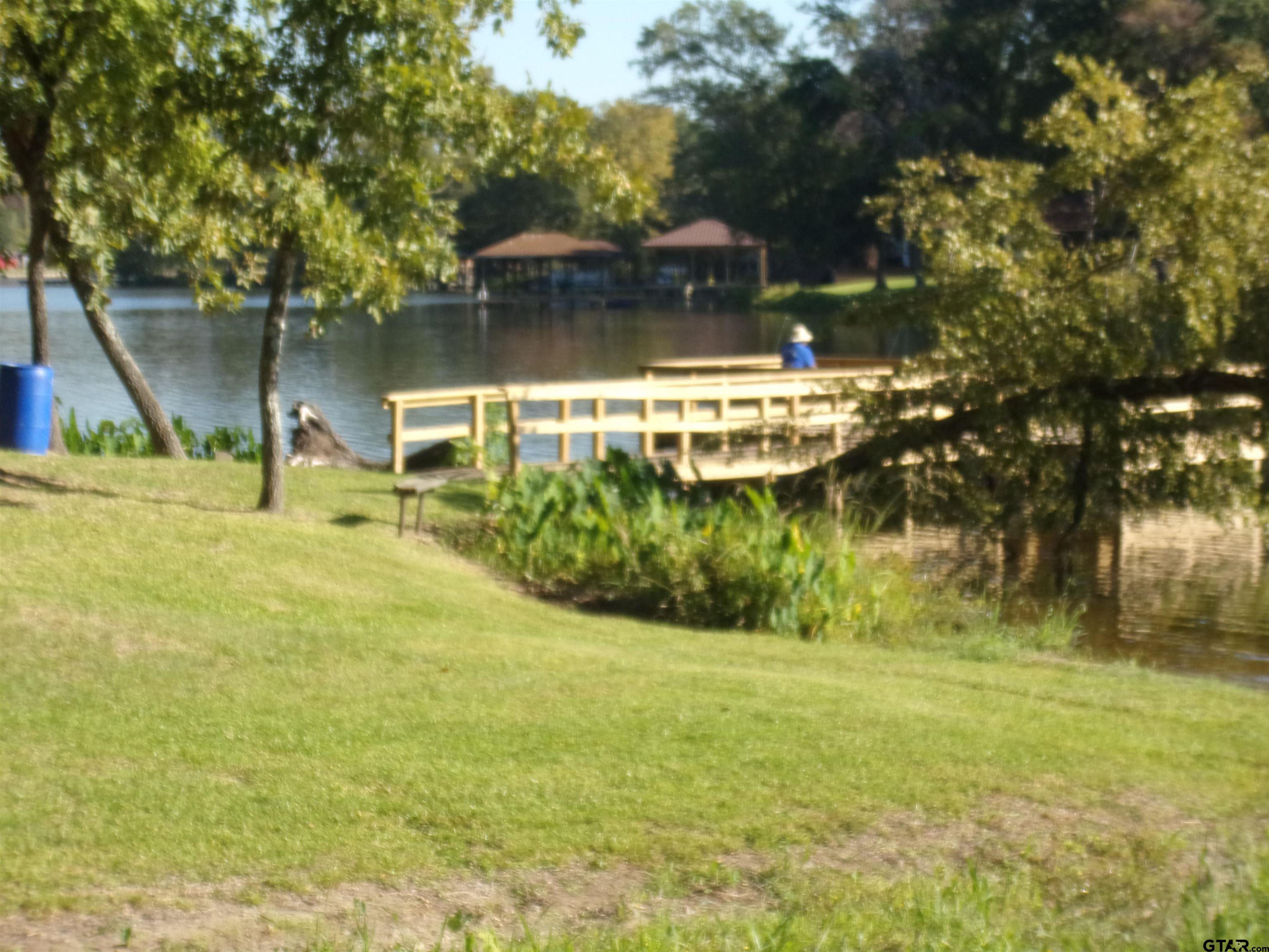 111 Ridgewood Lane Murchison, TX 75778 - Photo 38 of 42 Community Fishing Pier