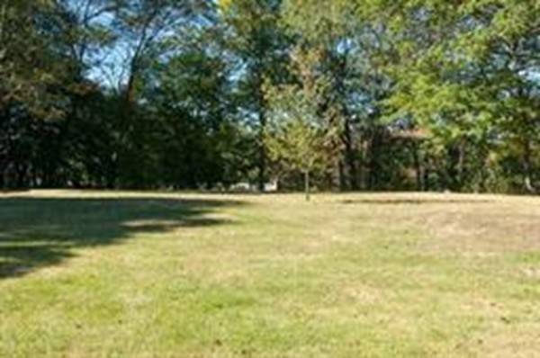 115-117 Garfield Road Dedham, MA 02026 - Photo 4 of 30 Gallery Image 4
