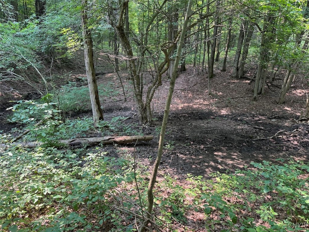 Allen Road East Concord, NY 14055 - Photo 5 of 34