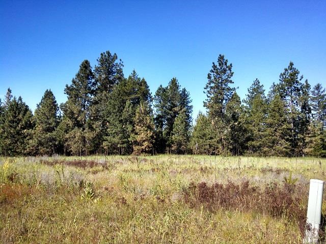 29 East Wild Rose Road Colbert, WA 99005 - Photo 1 of 2