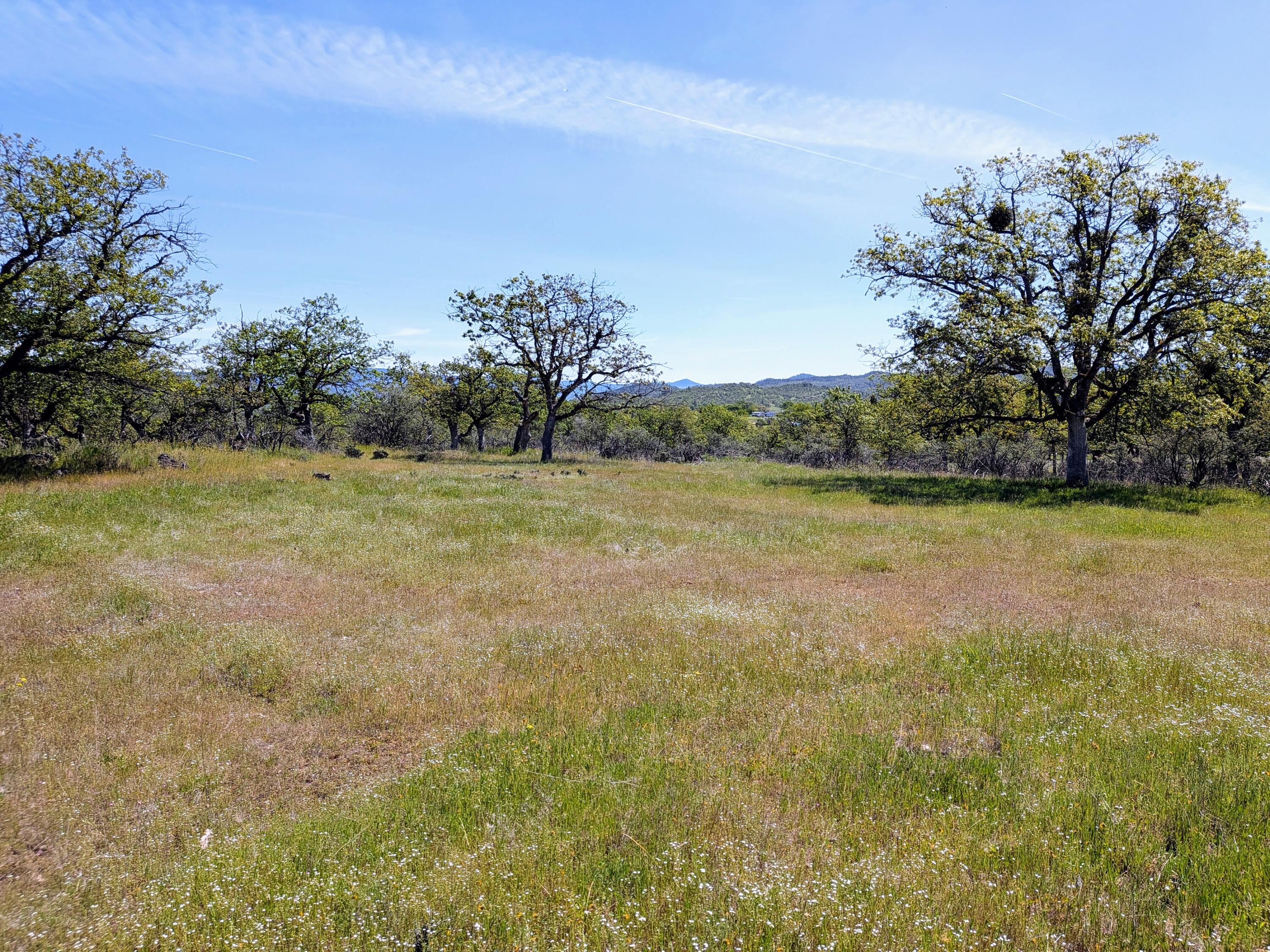 Stevens Road, Unit 100 Eagle Point, OR 97524 - Photo 11 of 15 11