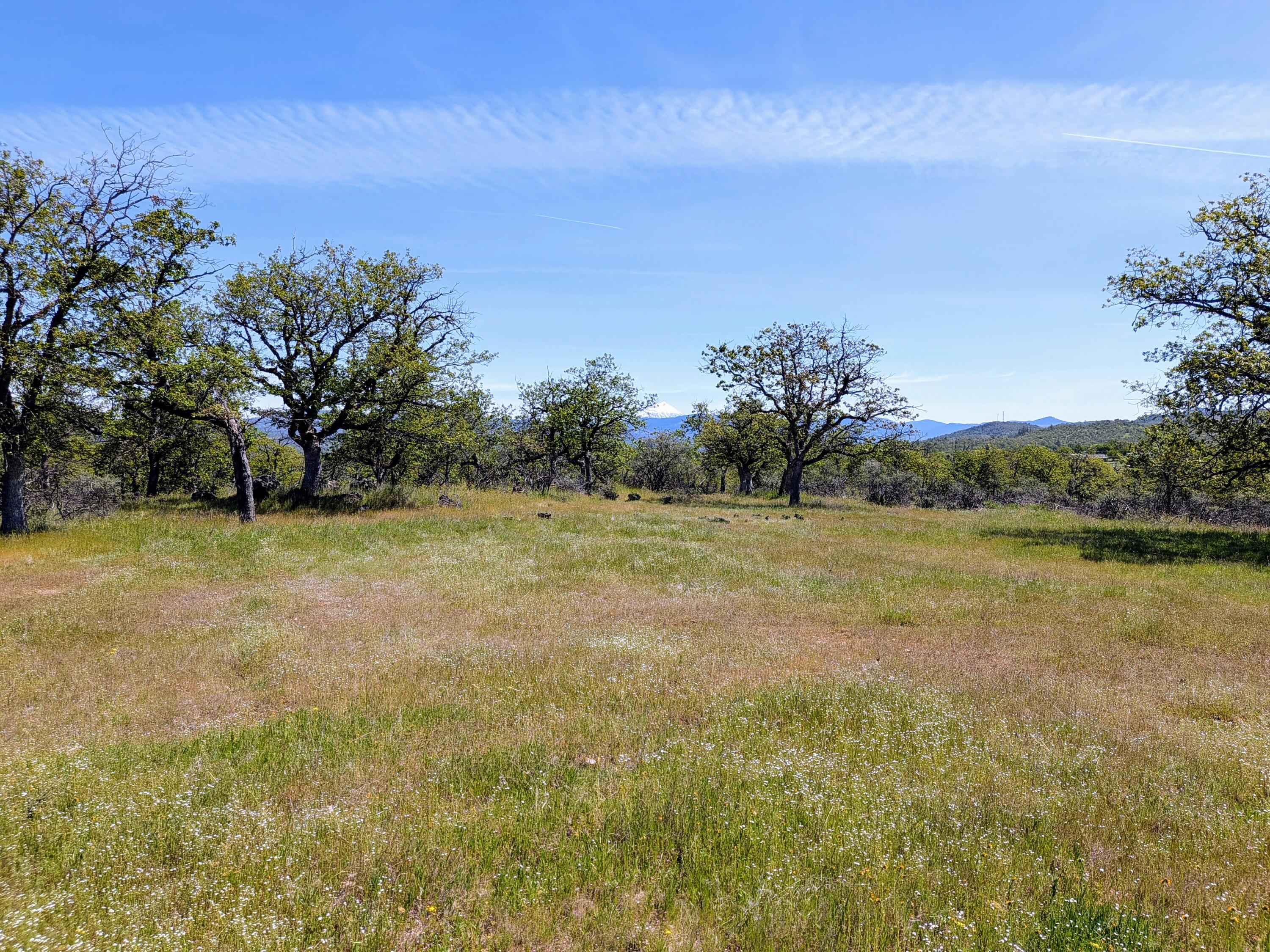 Stevens Road, Unit 100 Eagle Point, OR 97524 - Photo 12 of 15 12