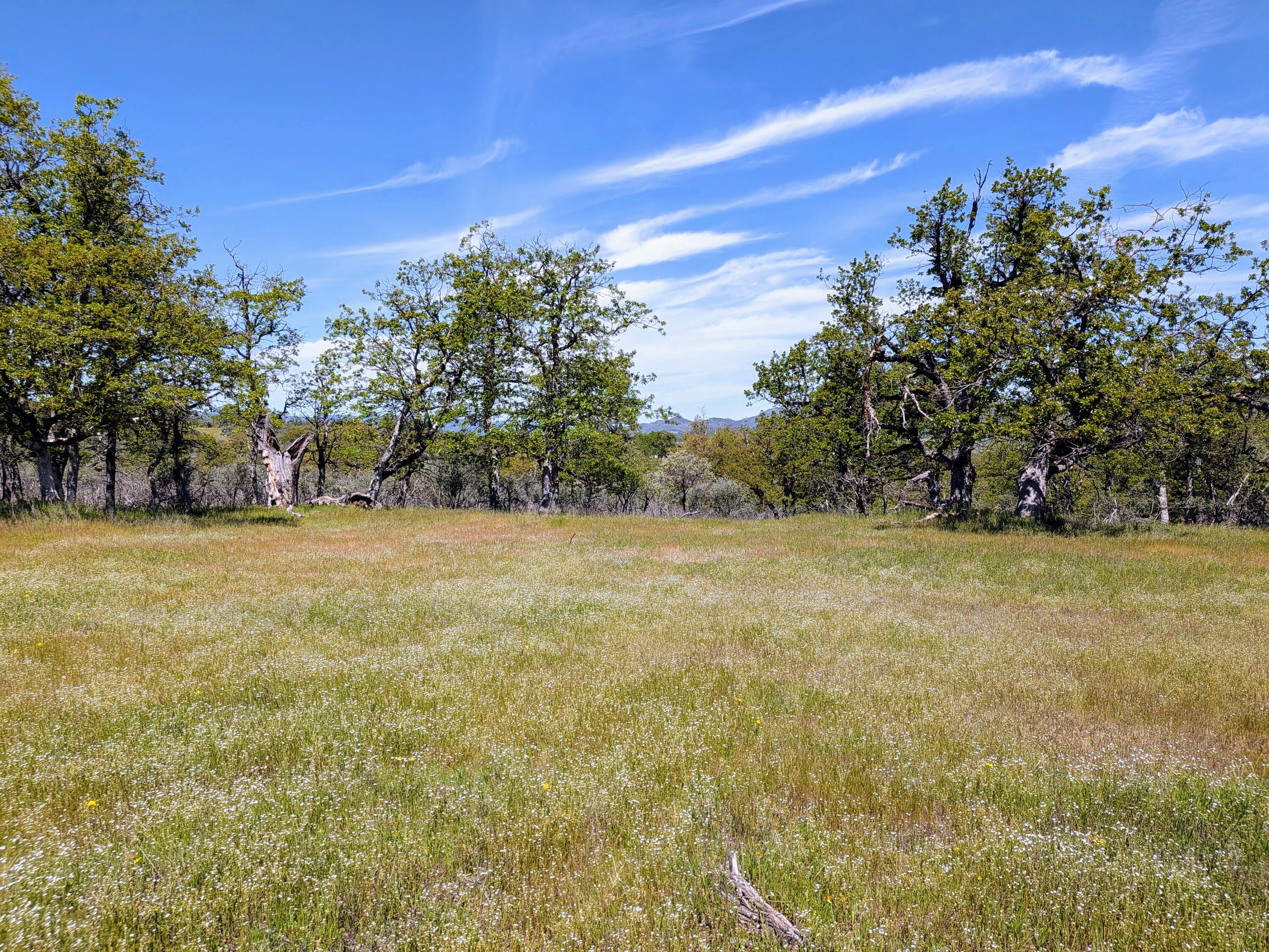 Stevens Road, Unit 100 Eagle Point, OR 97524 - Photo 13 of 15 13