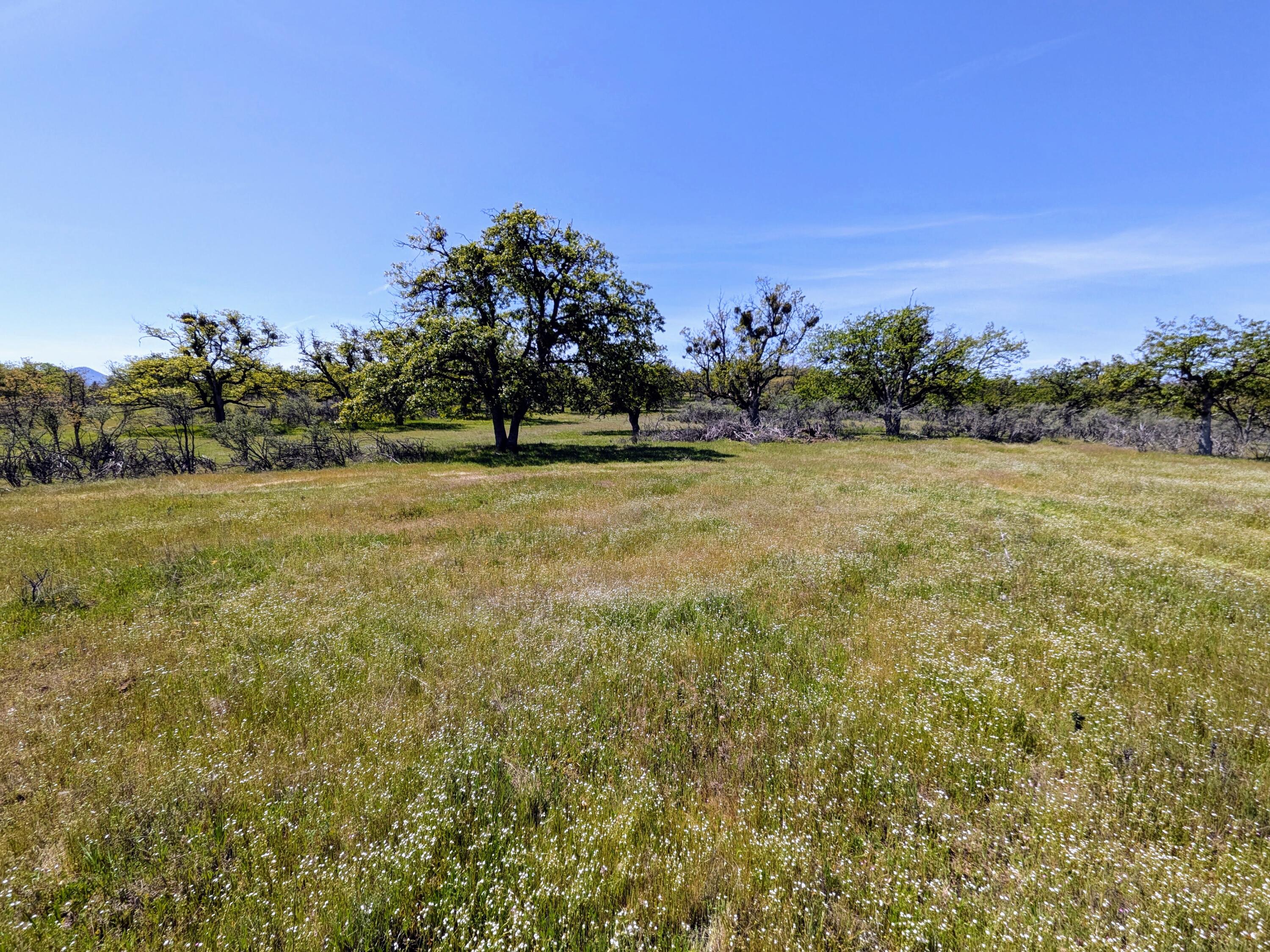 Stevens Road, Unit 100 Eagle Point, OR 97524 - Photo 15 of 15 15