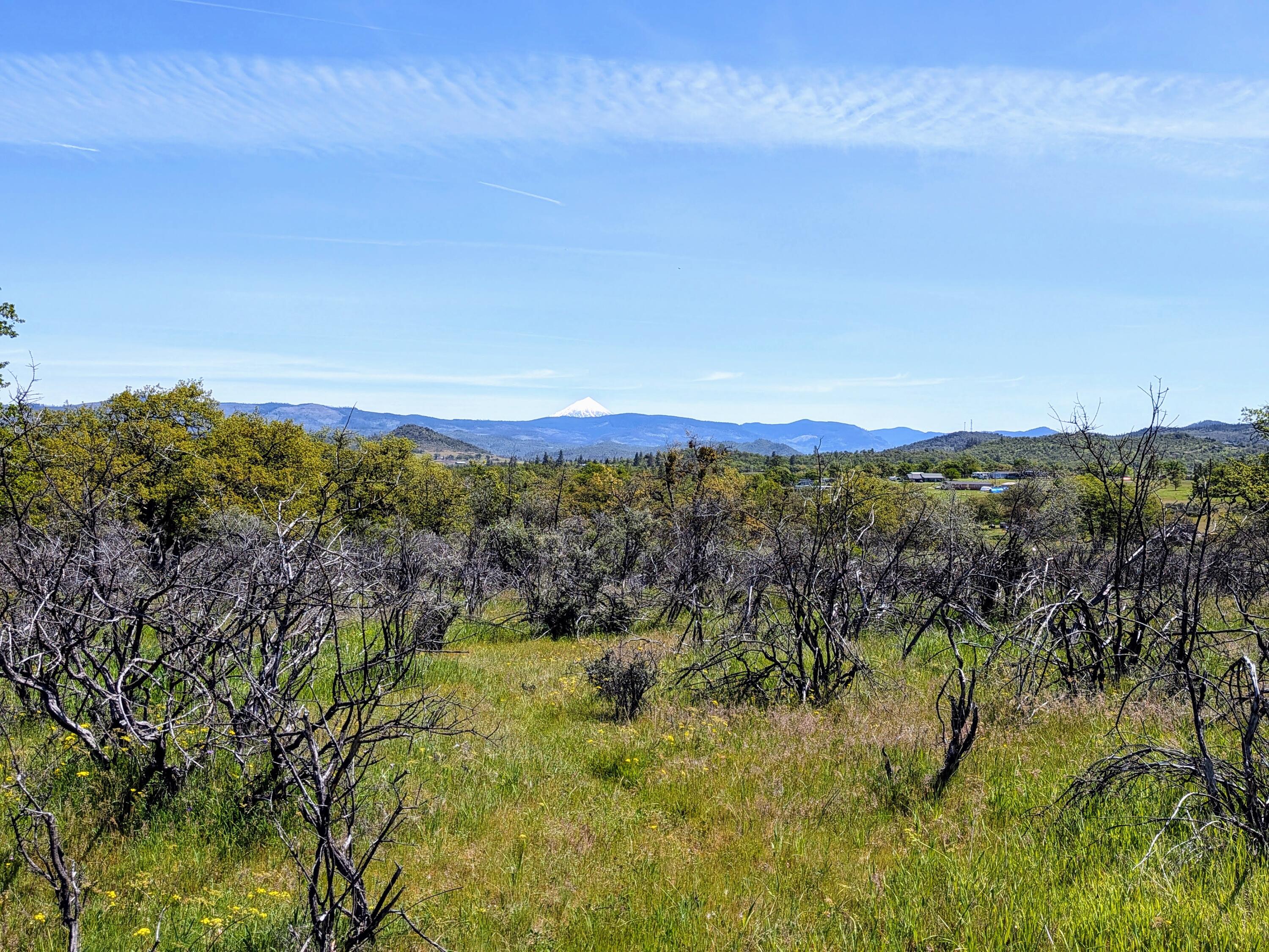 Stevens Road, Unit 100 Eagle Point, OR 97524 - Photo 4 of 15 3